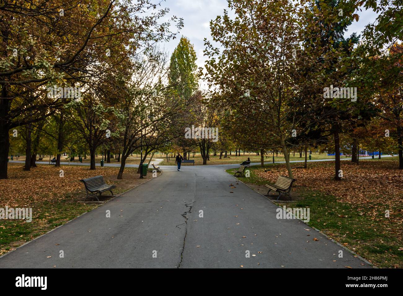 Autumn in a park. Autumn scenery with brown leaves Stock Photo - Alamy