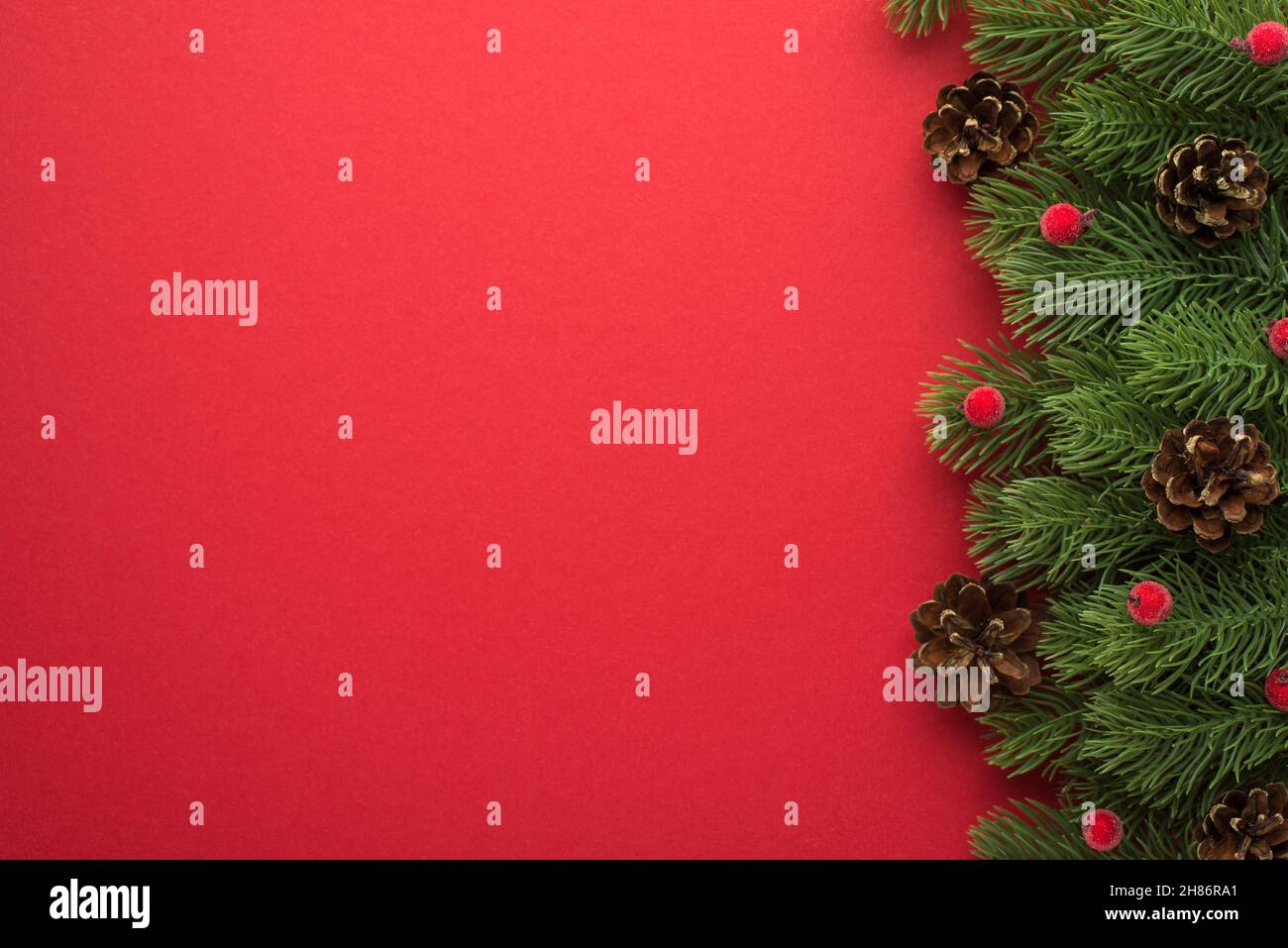 Top view photo of pine branches with pine cones and small red berries ...