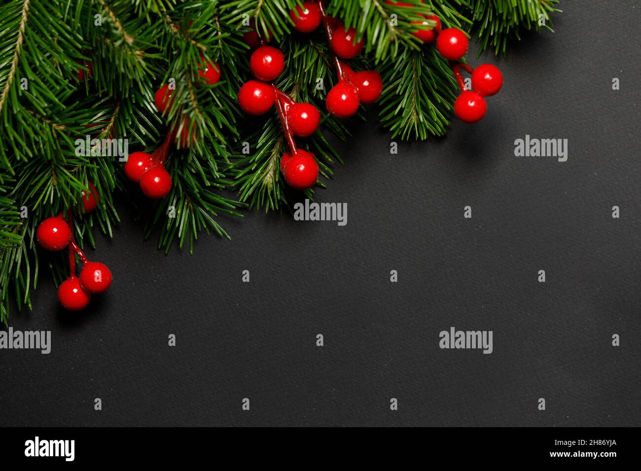 Christmas border arranged with fresh fir branches and red berries on ...
