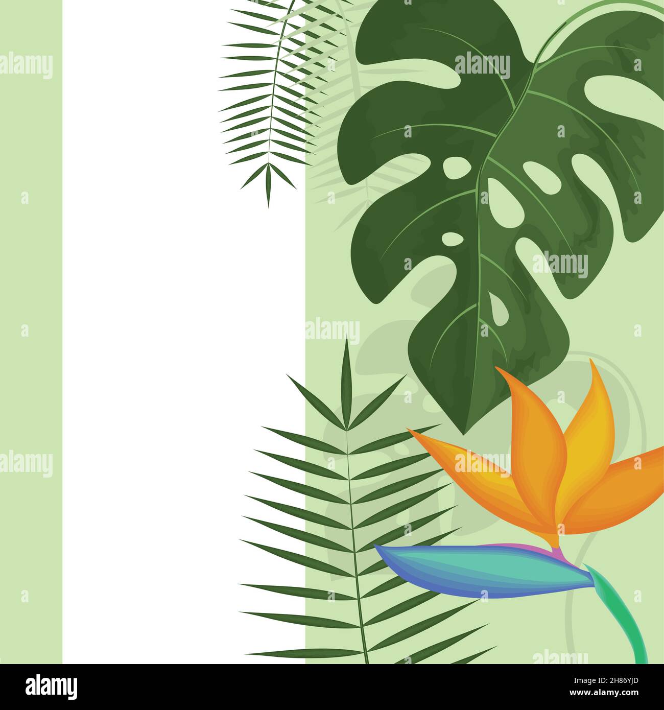 tropical exotic leaves Stock Vector Image & Art - Alamy