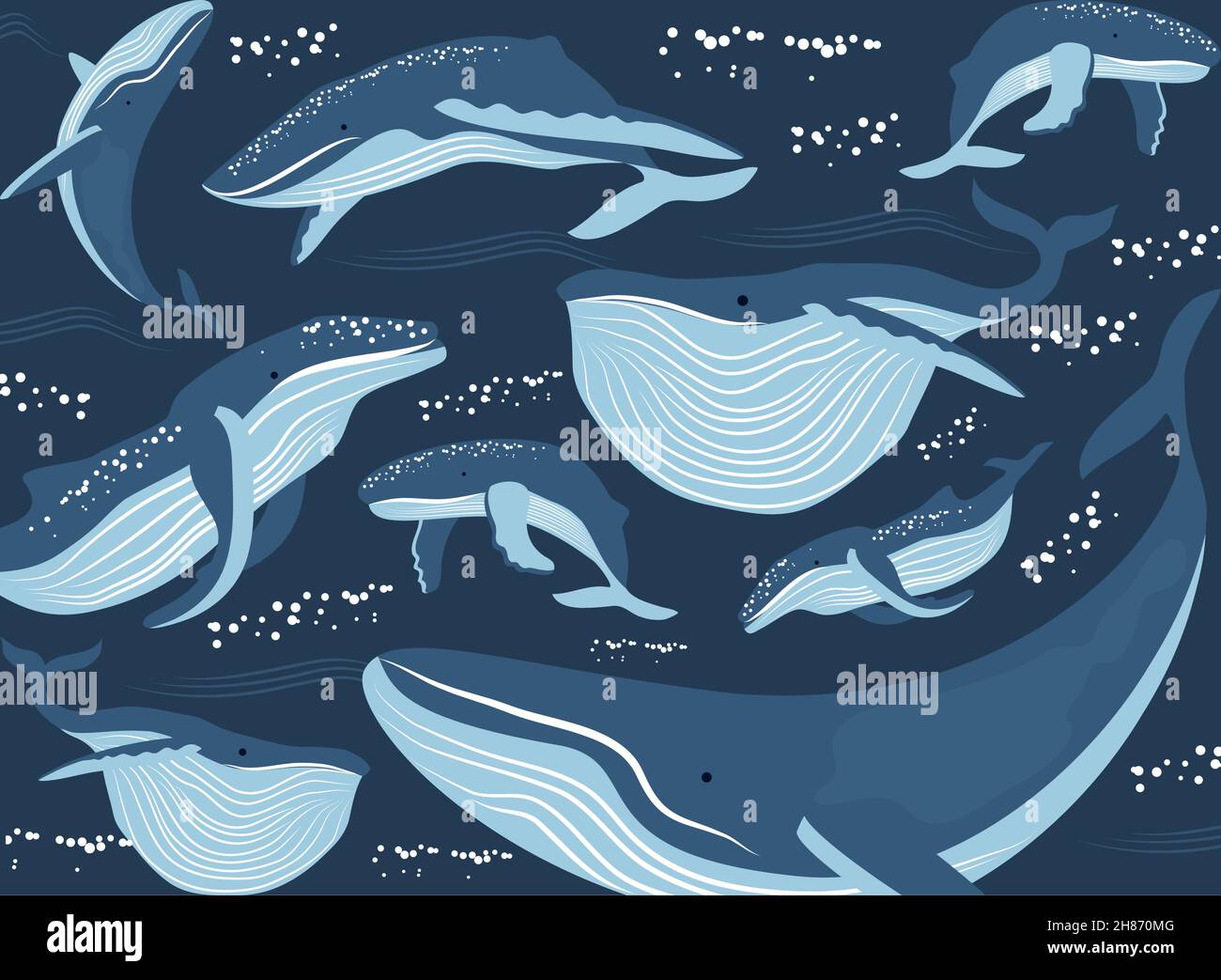 whales under the sea Stock Vector Image & Art - Alamy