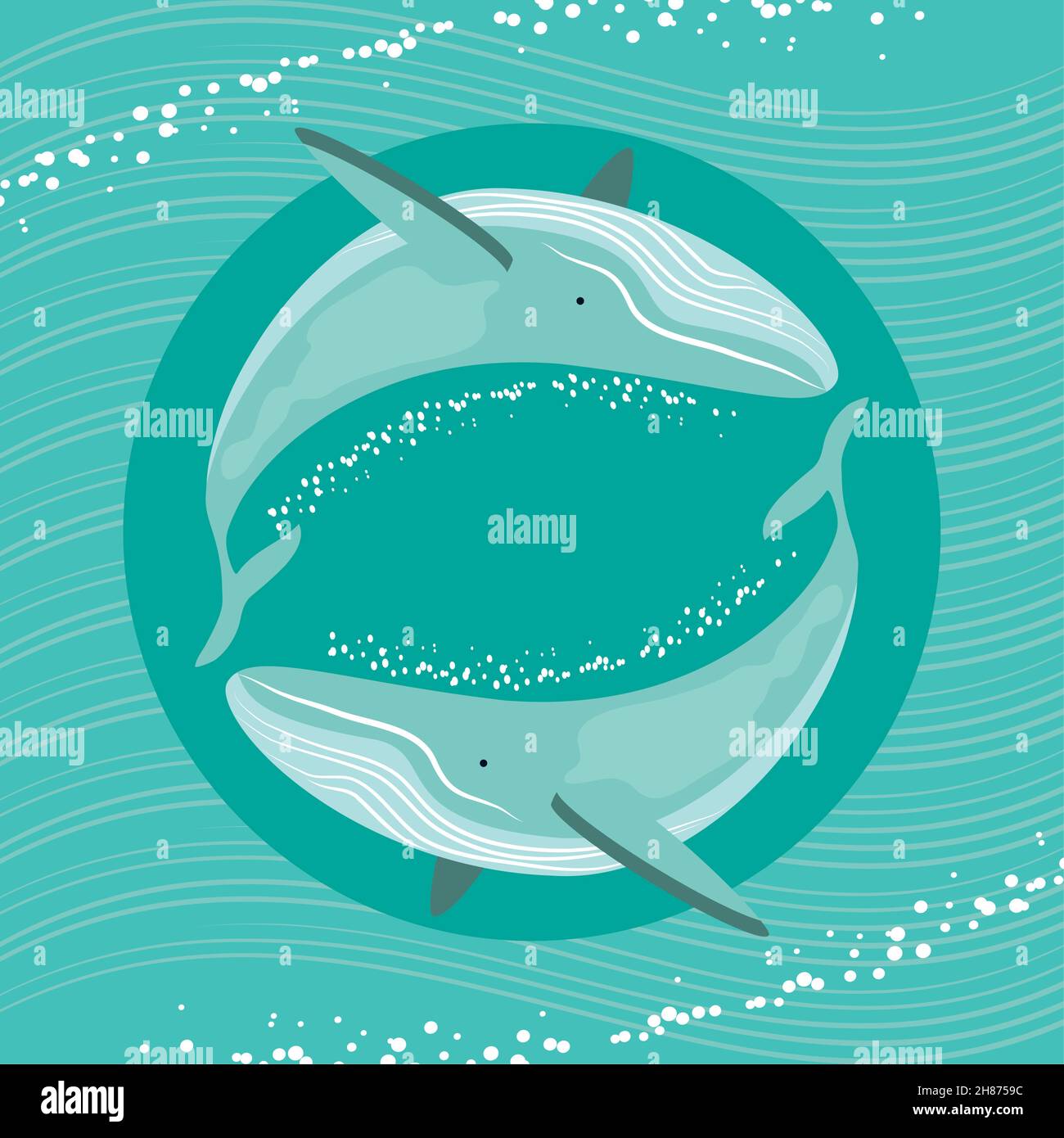 whales sea wildlife Stock Vector Image & Art - Alamy