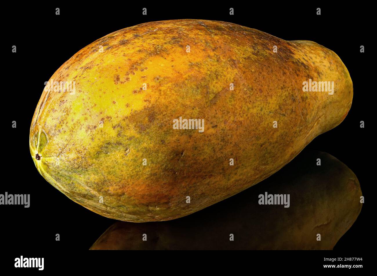 Papaya whole with reflection isolated on black background Stock Photo
