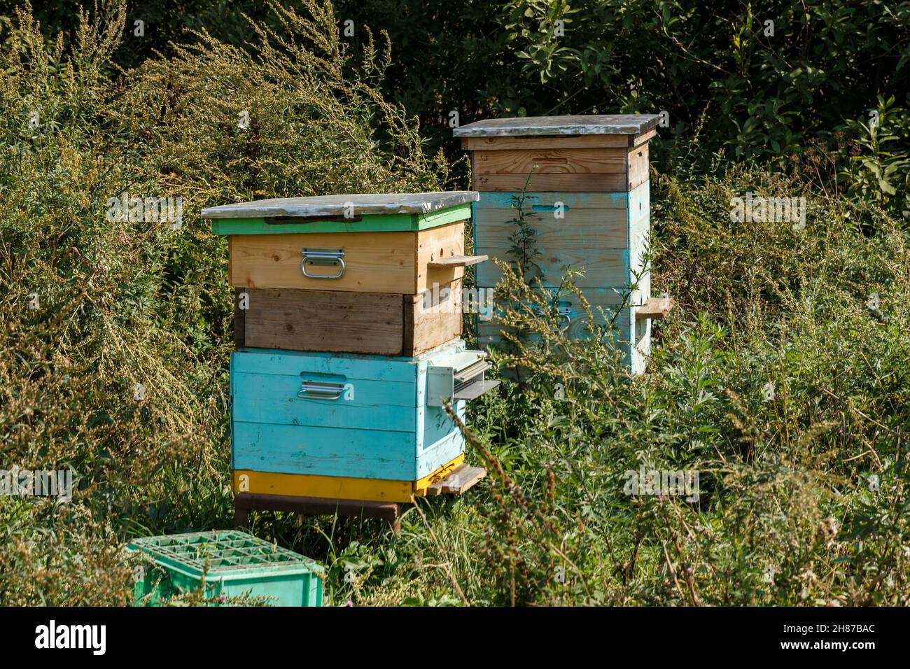 Two bee hives in hi-res stock photography and images - Alamy