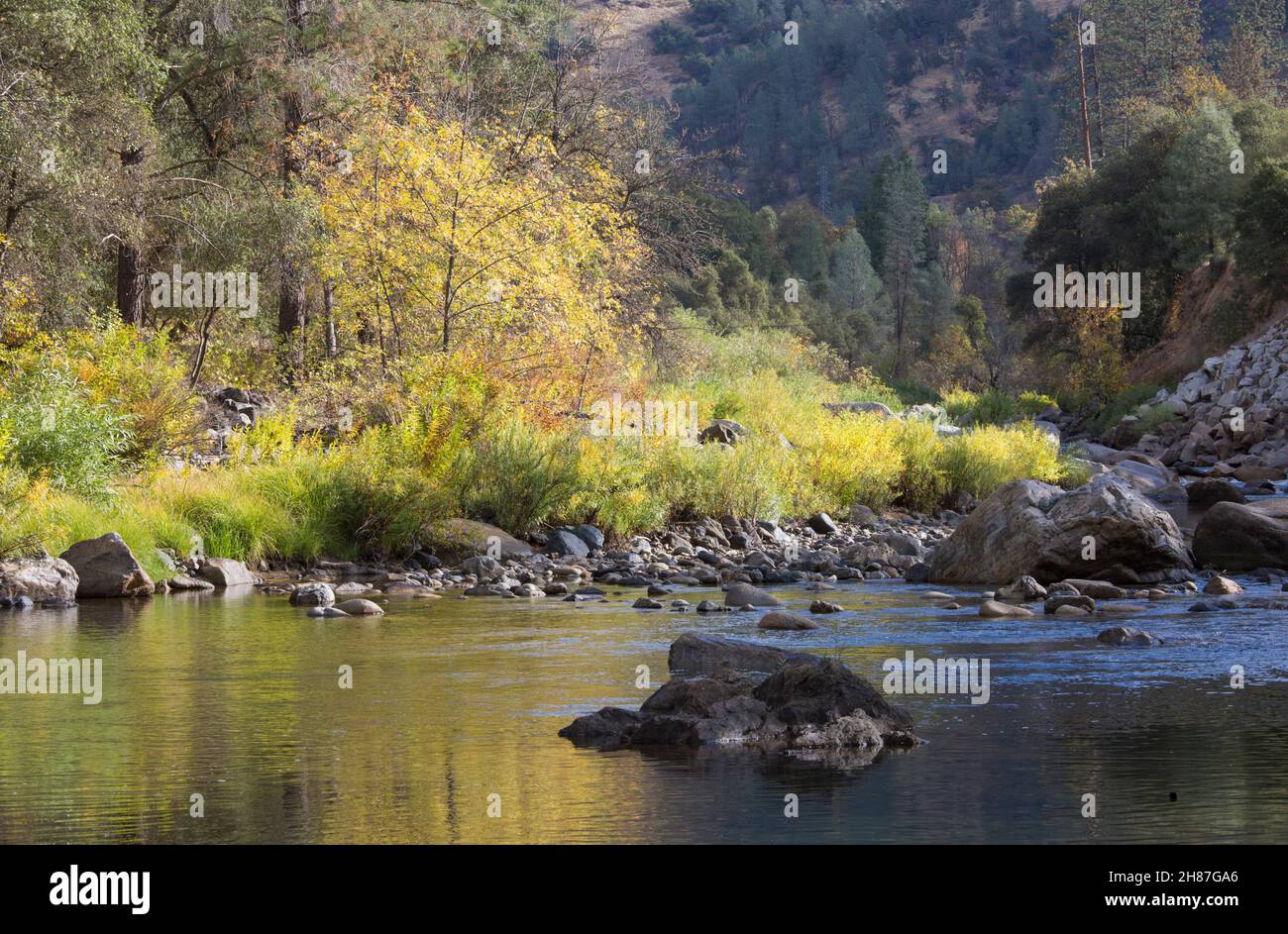 El Portal, California, USA. View across the tranquil waters of the Merced River downstream of Yosemite National Park, autumn. Stock Photo