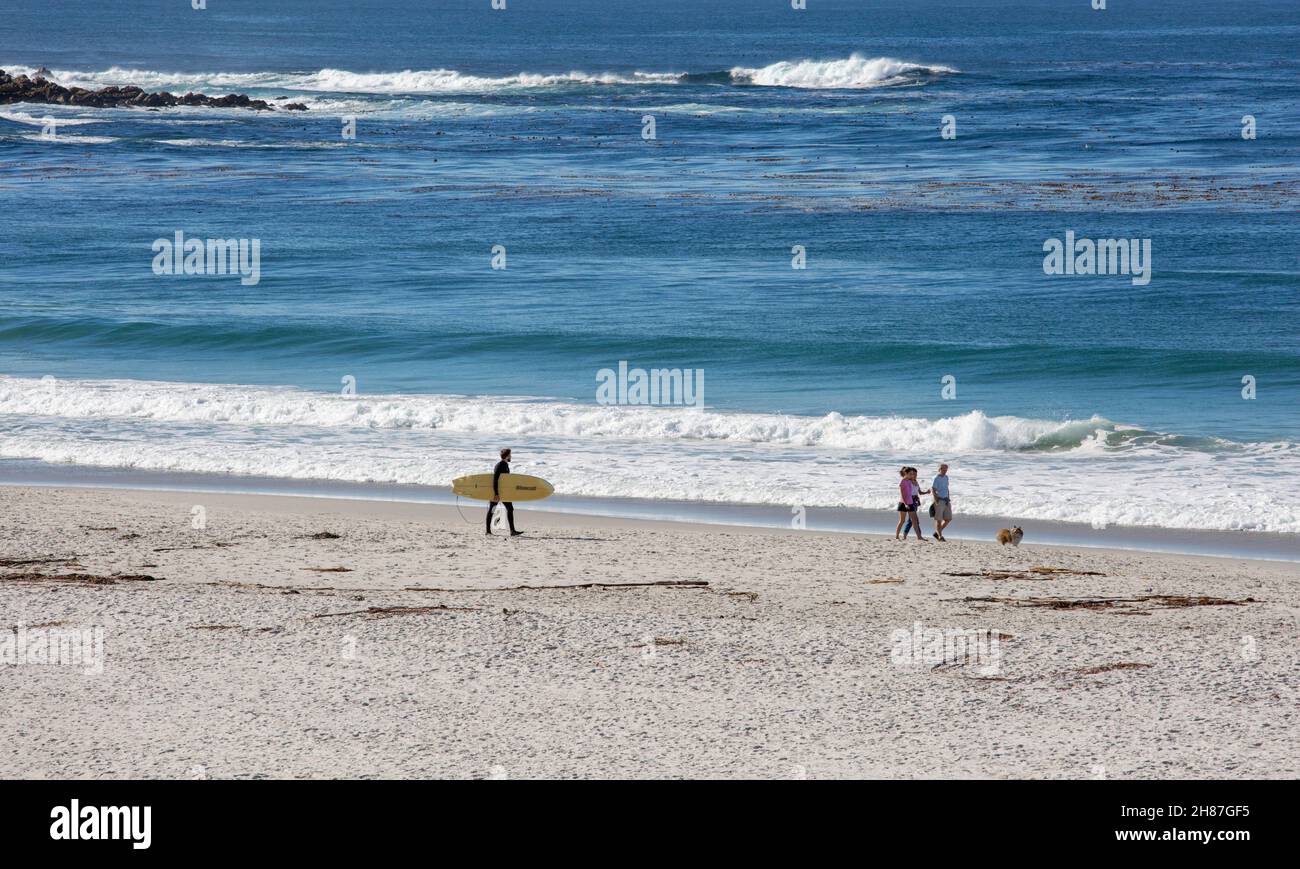 Carmel-by-the-Sea, California, USA. View across sandy beach to the Pacific Ocean, surfer and dog walkers at the water's edge. Stock Photo