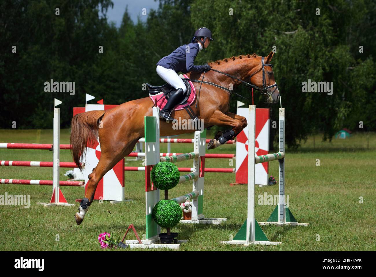 Young equestrian girl jumps obstacle with bay horse in show jumping Stock Photo