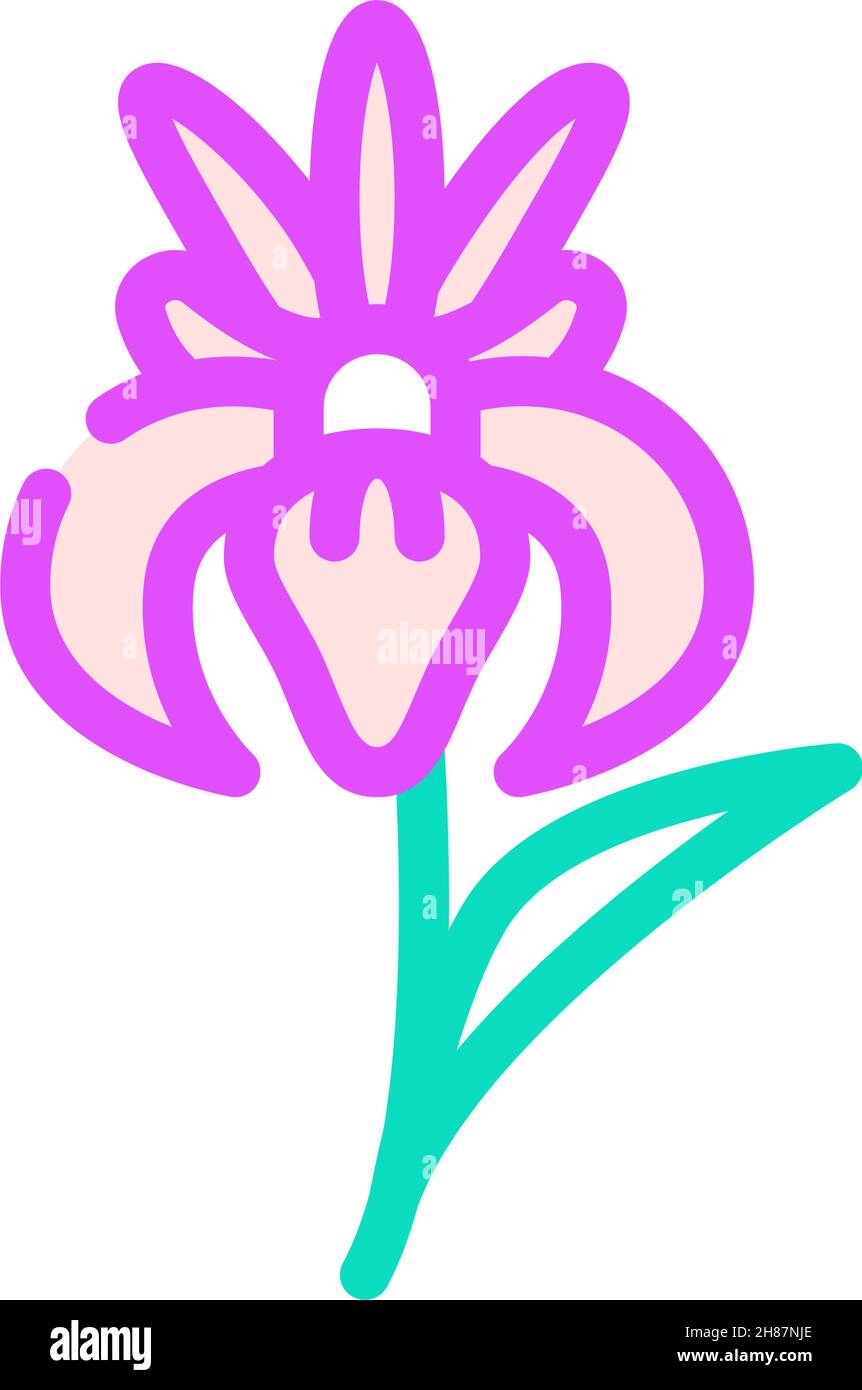 iris flower color icon vector illustration Stock Vector Image & Art Alamy