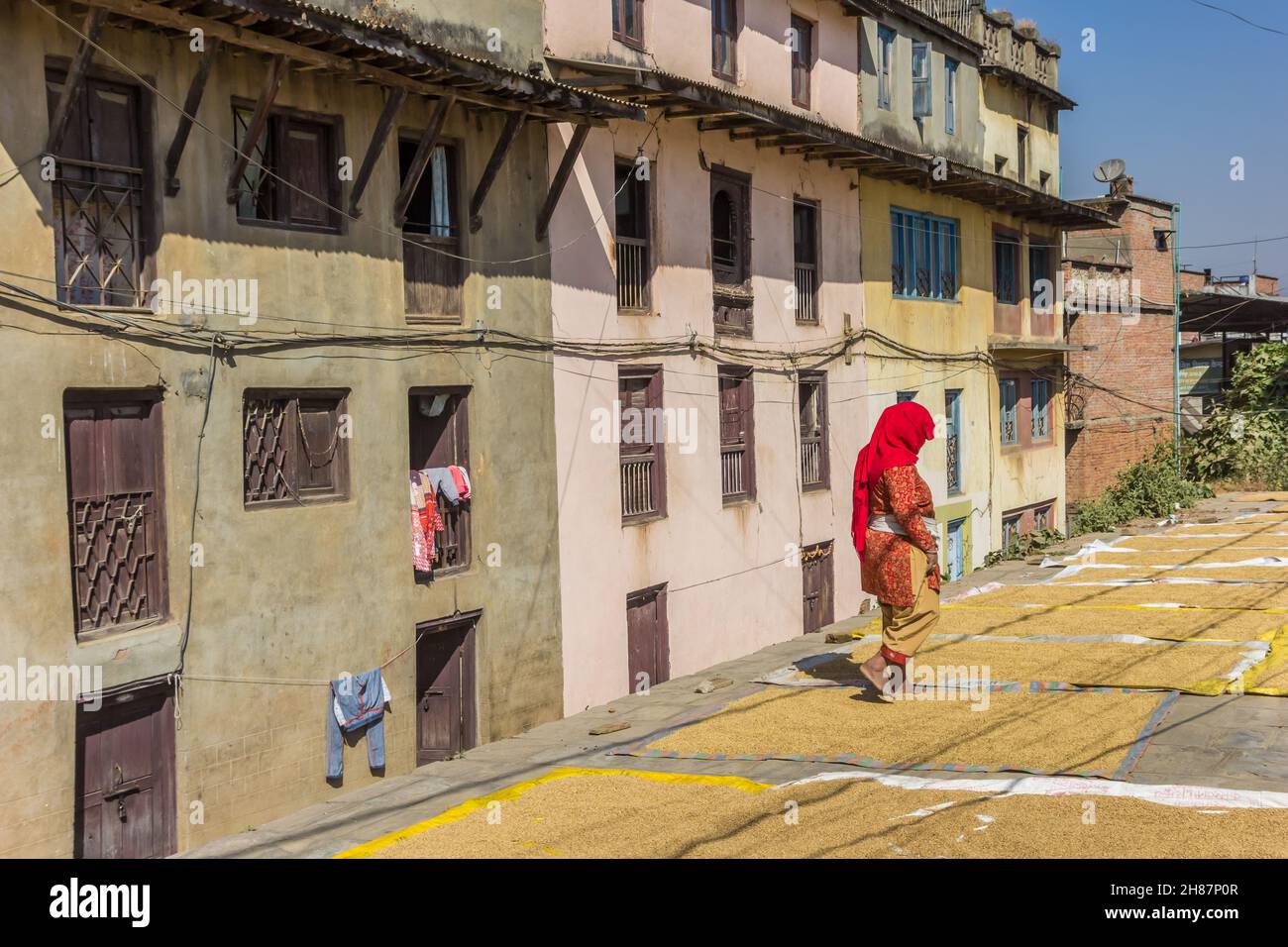 Woman in traditional nepalese dress drying rice in Kirtipur, Nepal Stock Photo