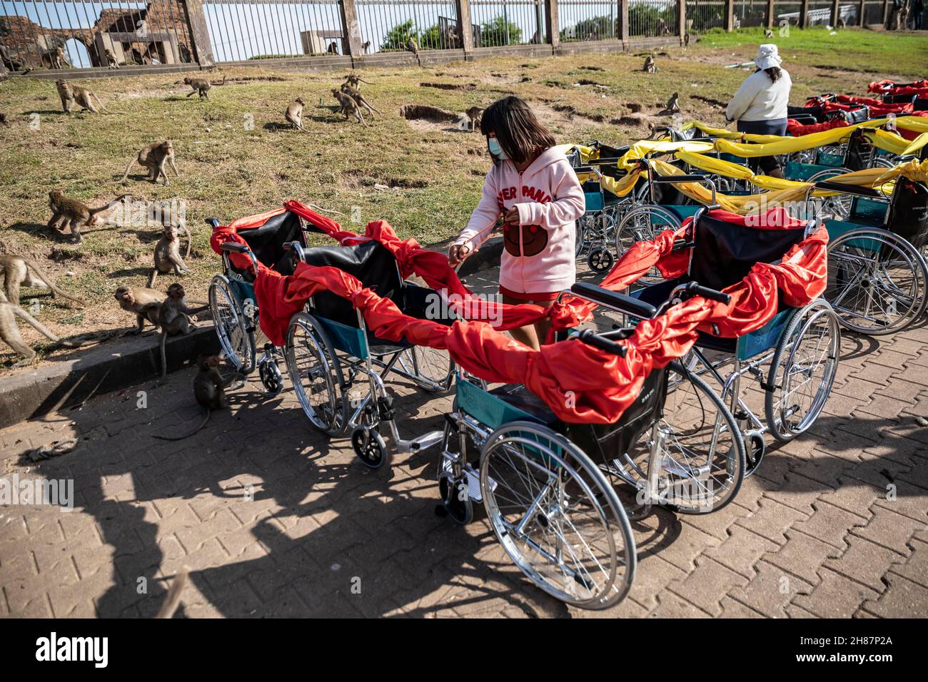 Slingshot monkey hires stock photography and images Alamy