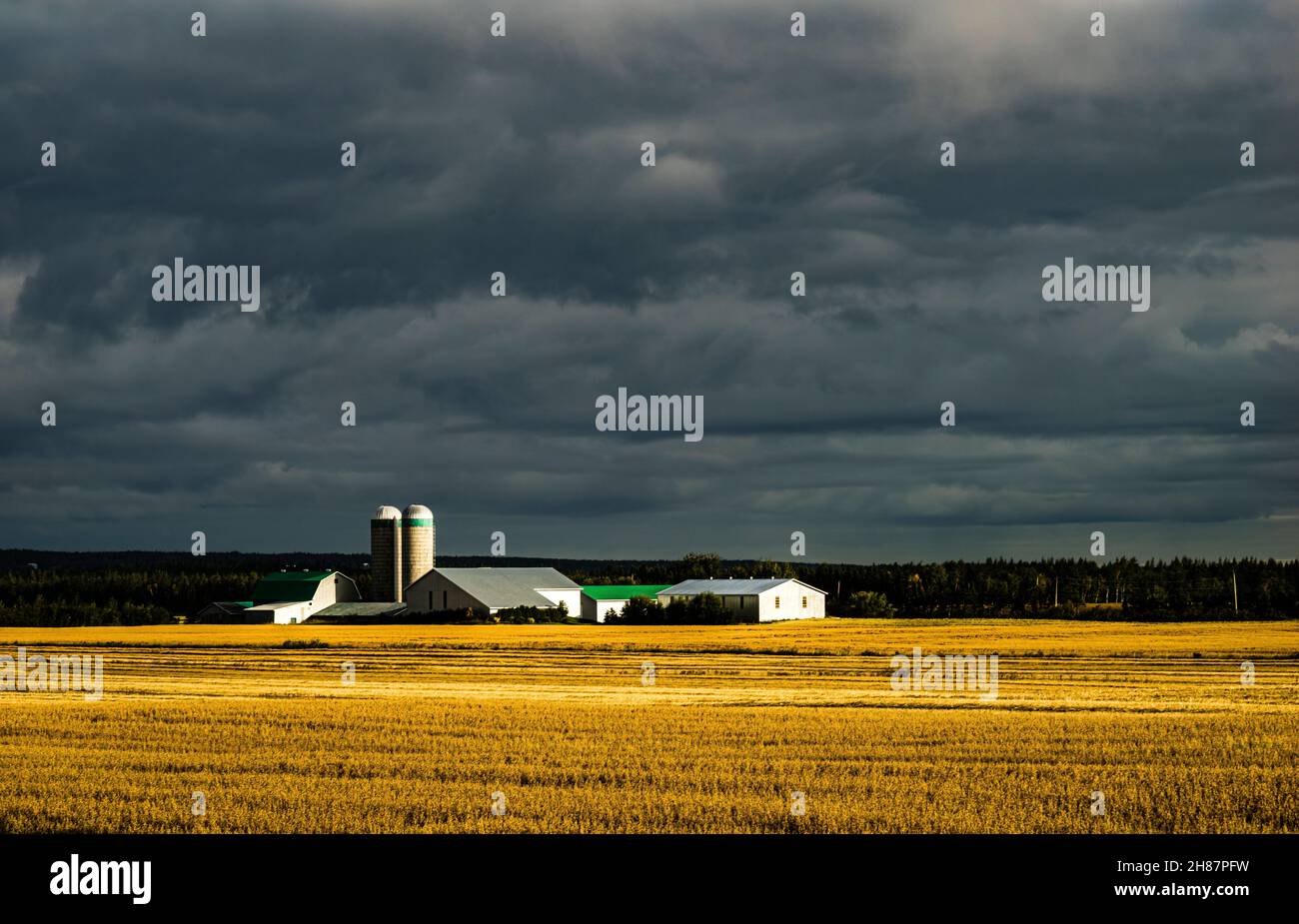 Farm L'IsleVerte, Quebec, CA Stock Photo Alamy