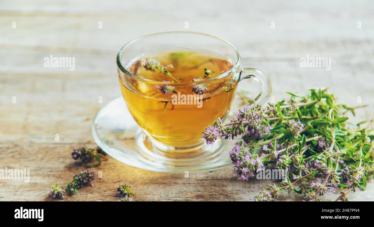 Thyme tea in transparent hi-res stock photography and images - Alamy