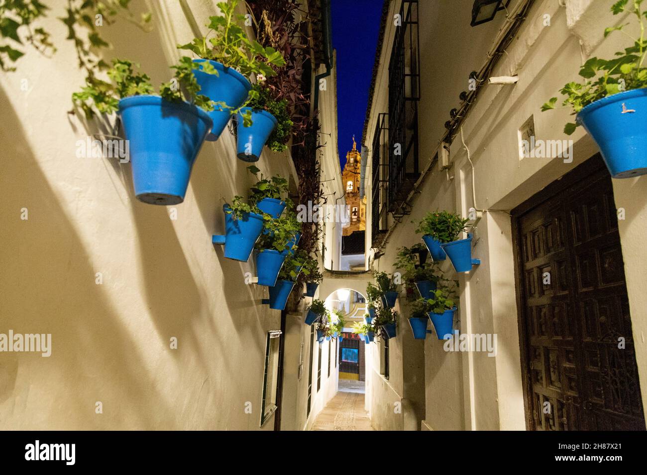 Streets of Cordoba in Andalusia, Spain with the facades full of the typical blue flowerpots and with the Mequita in the background, Stock Photo