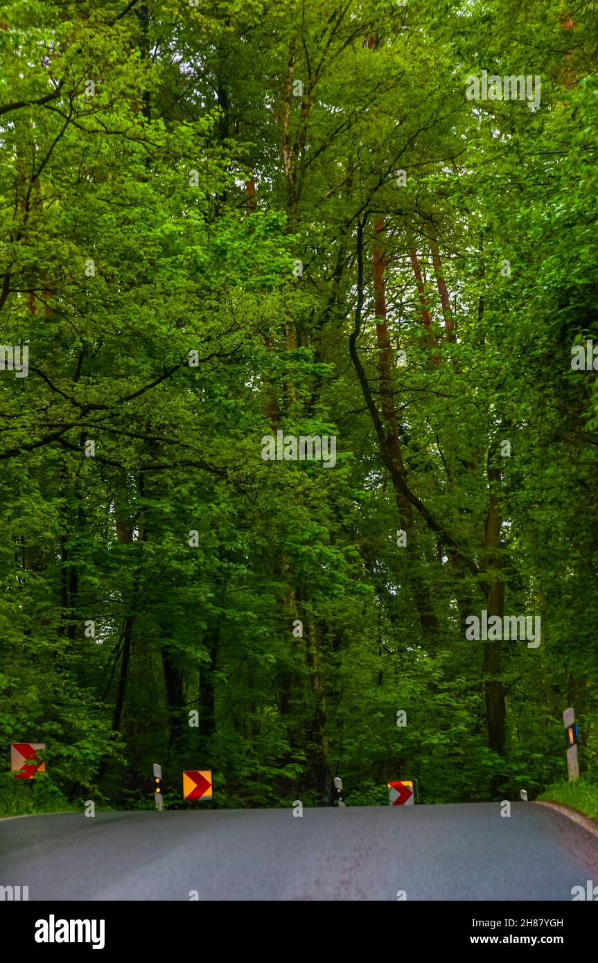 The asphalt road through the forest with traffic signs Stock Photo - Alamy
