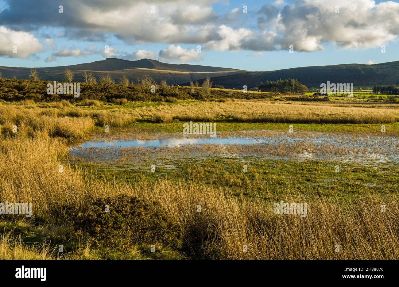 A landscape including Pen Y Fan and Corn Du as seen from Mynydd Illtyd Common high in the Brecon Beacons in autumn Stock Photo