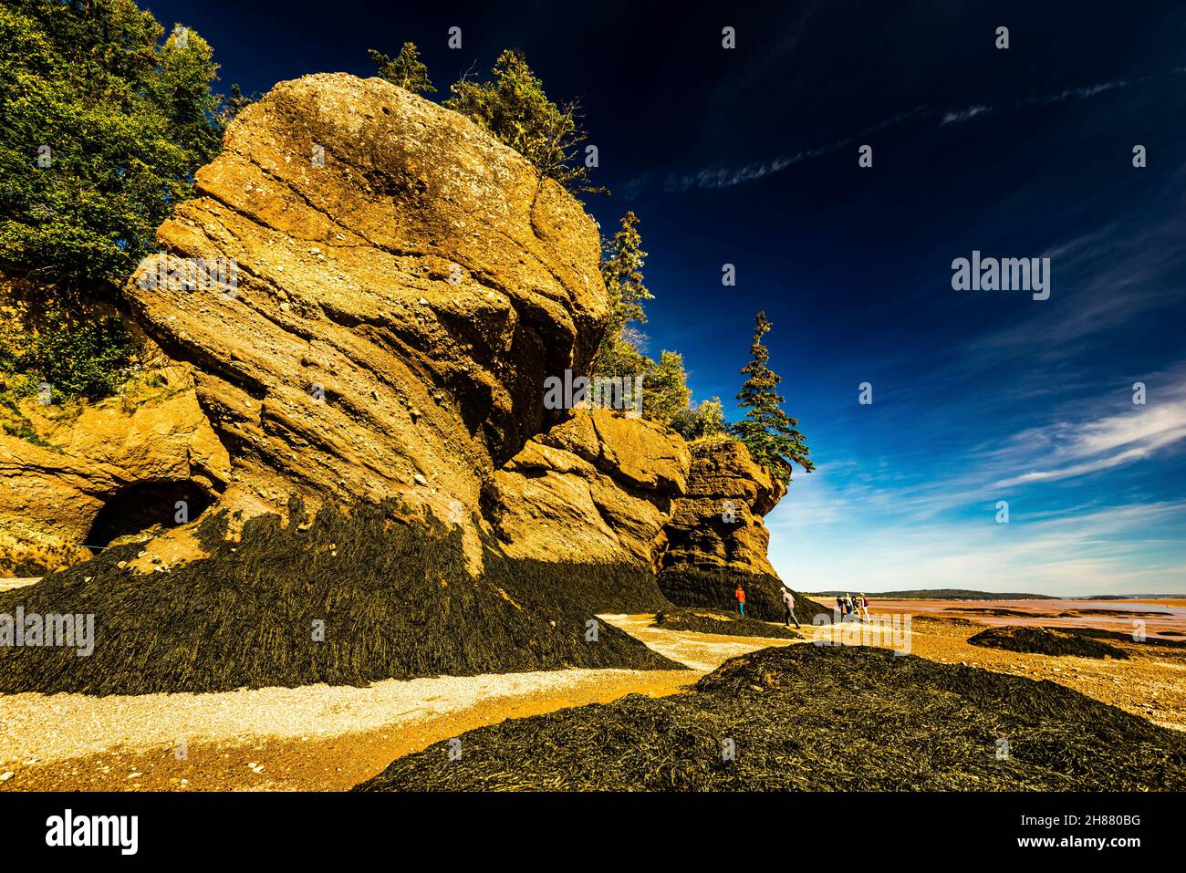 Hopewell rocks ocean tidal exploration site hi-res stock photography ...