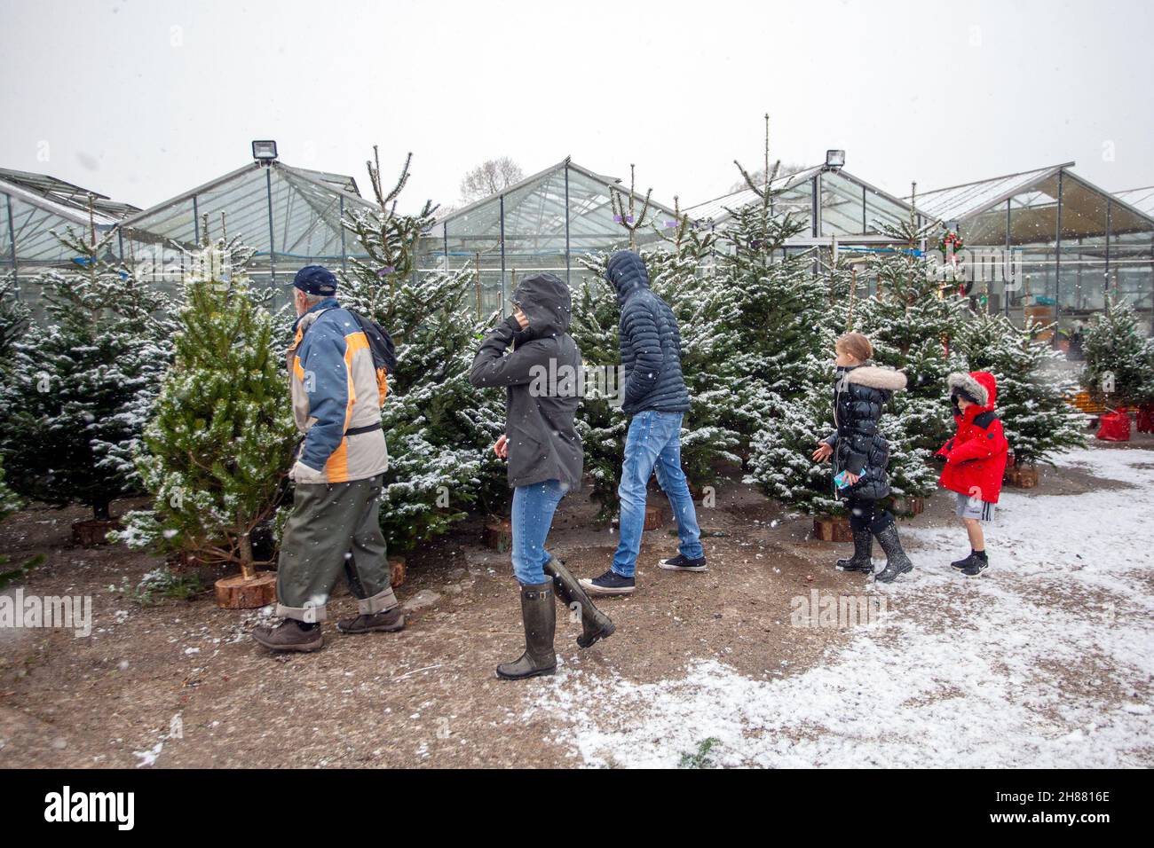 Glenroyde garden nurseries hires stock photography and images Alamy
