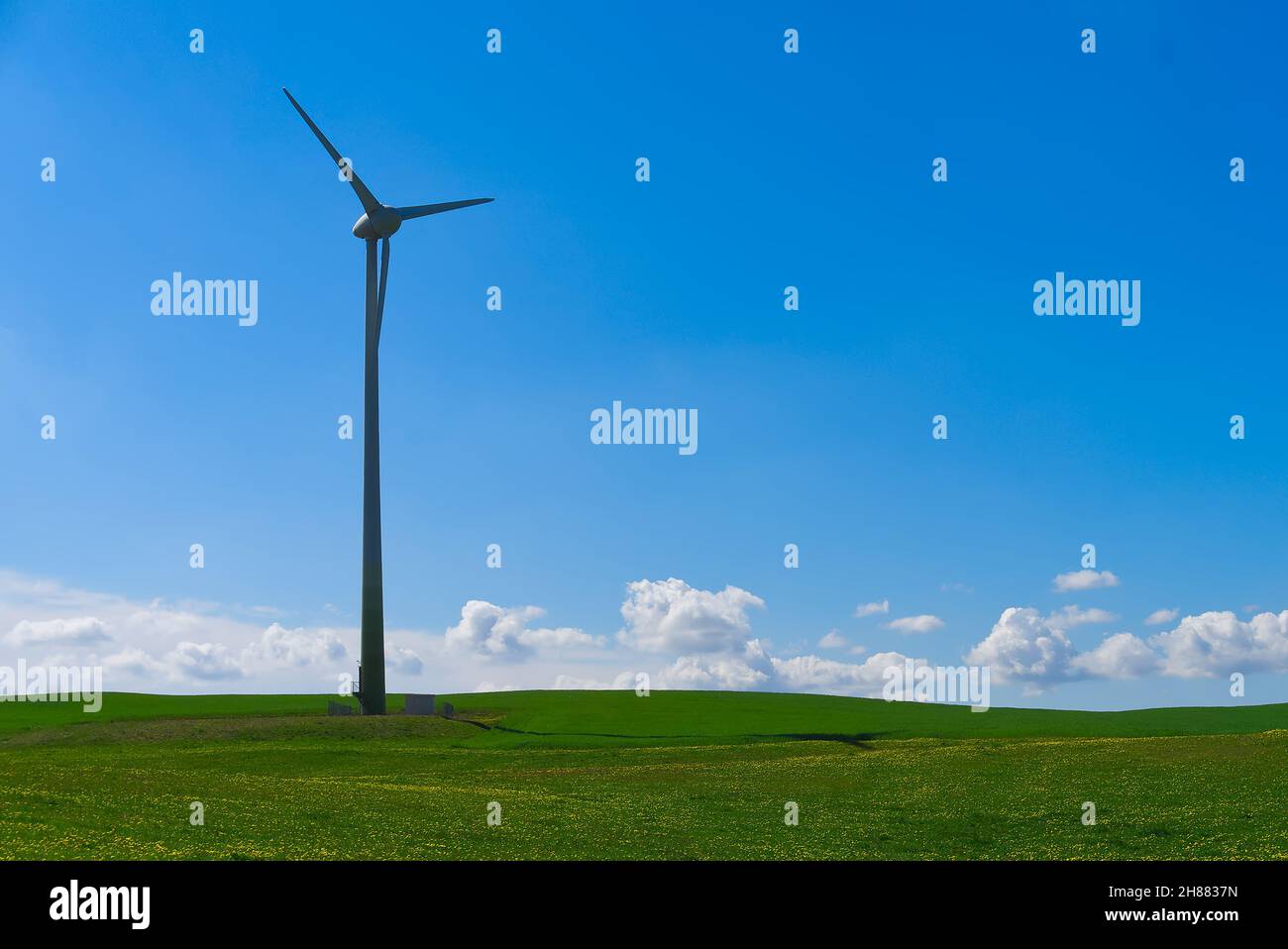 Wind power turbine for electric power generation in landscape with