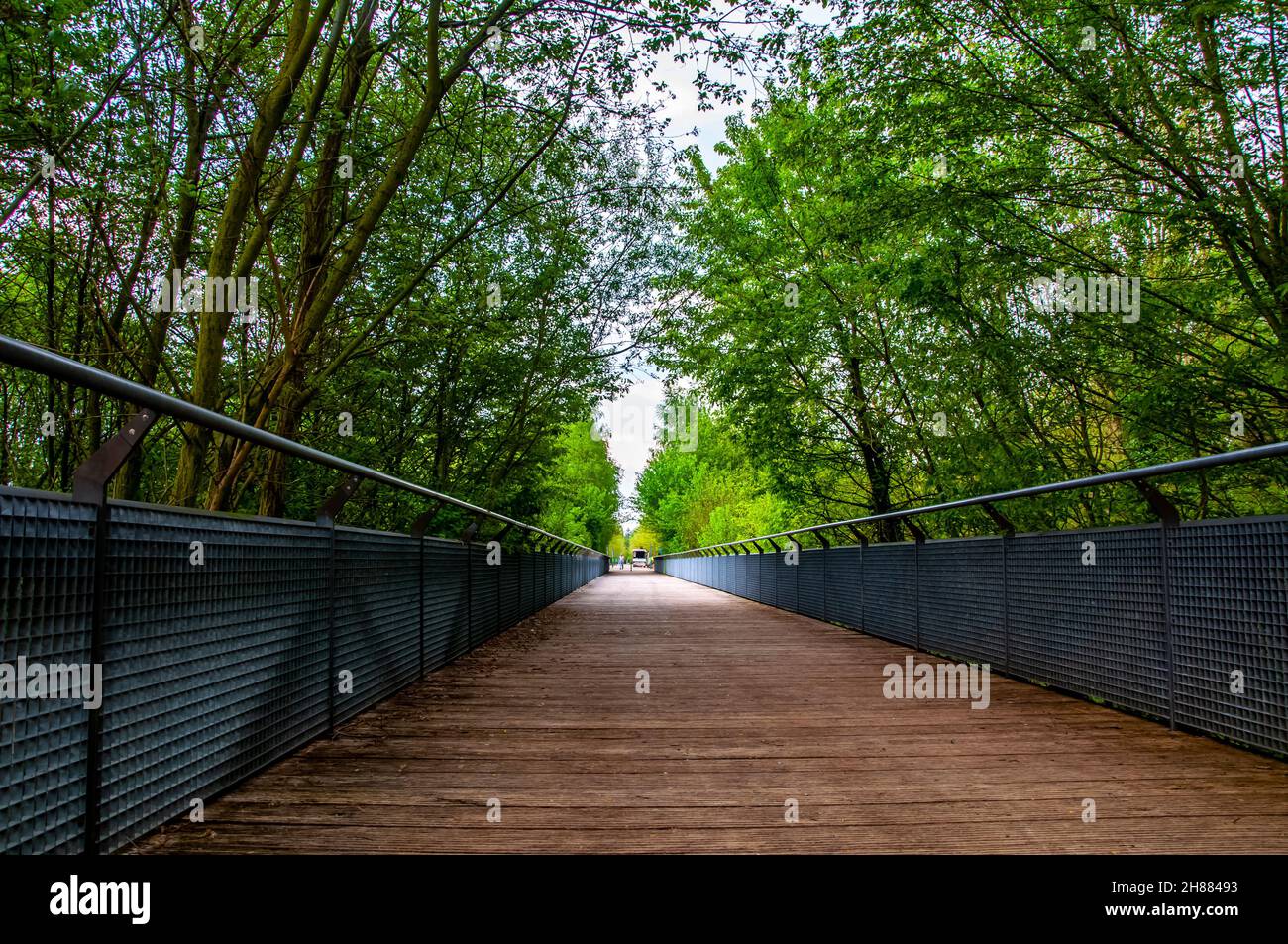 The walkway bridge in the natural park Aqua magica near Bad oeynhausen city Stock Photo Alamy
