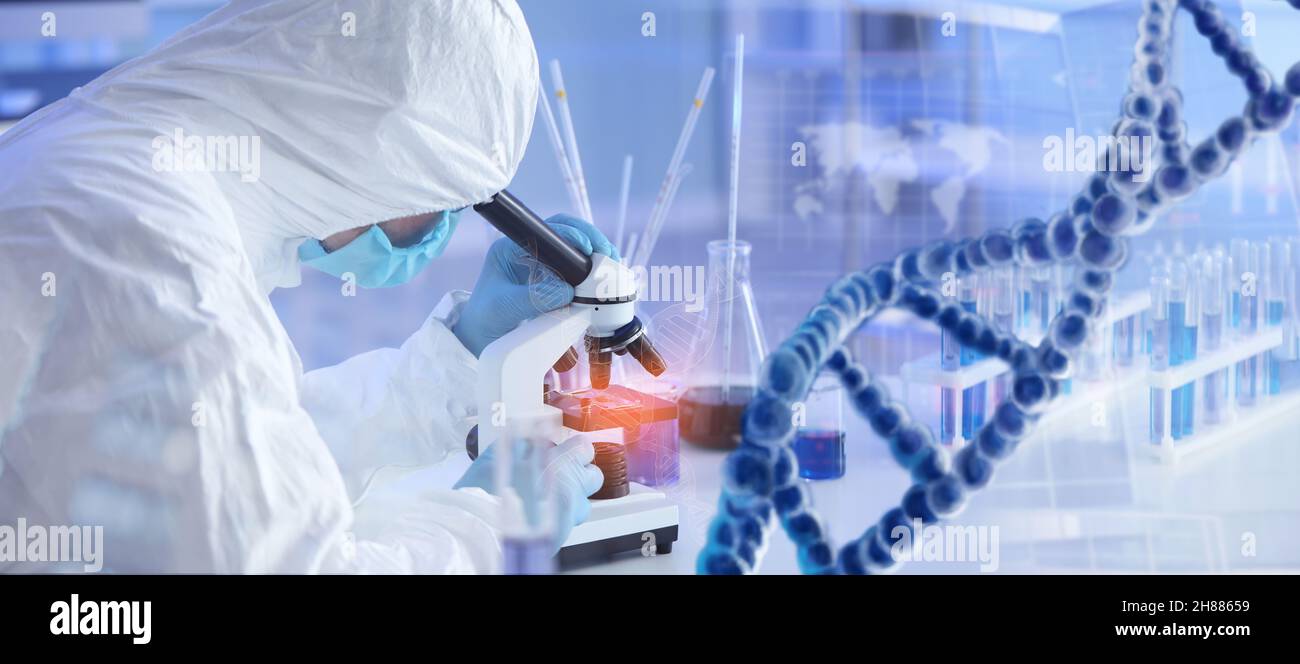 Scientist working with sample in laboratory Stock Photo - Alamy
