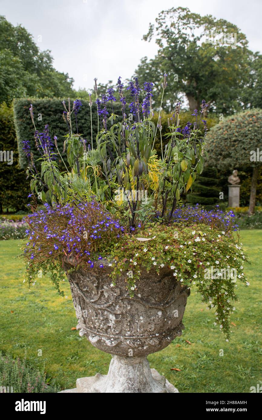 Classical greek style pot containing purple flowers Stock Photo