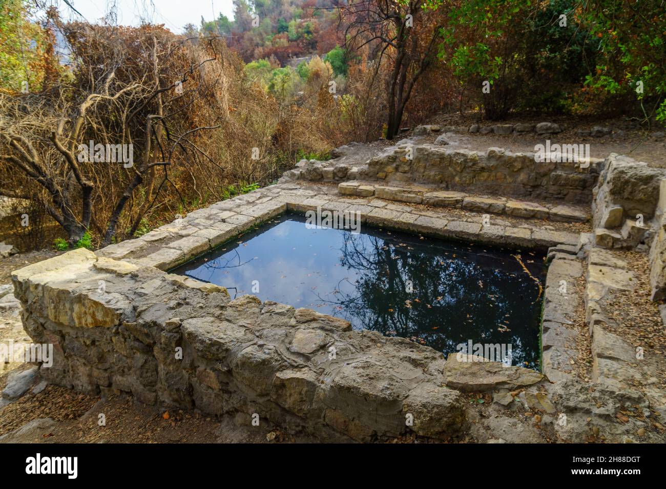 View of a water pool in Ein HaTayyasim (pilots spring), its in a planted forest on the outskirts of West Jerusalem, central Israel Stock Photo
