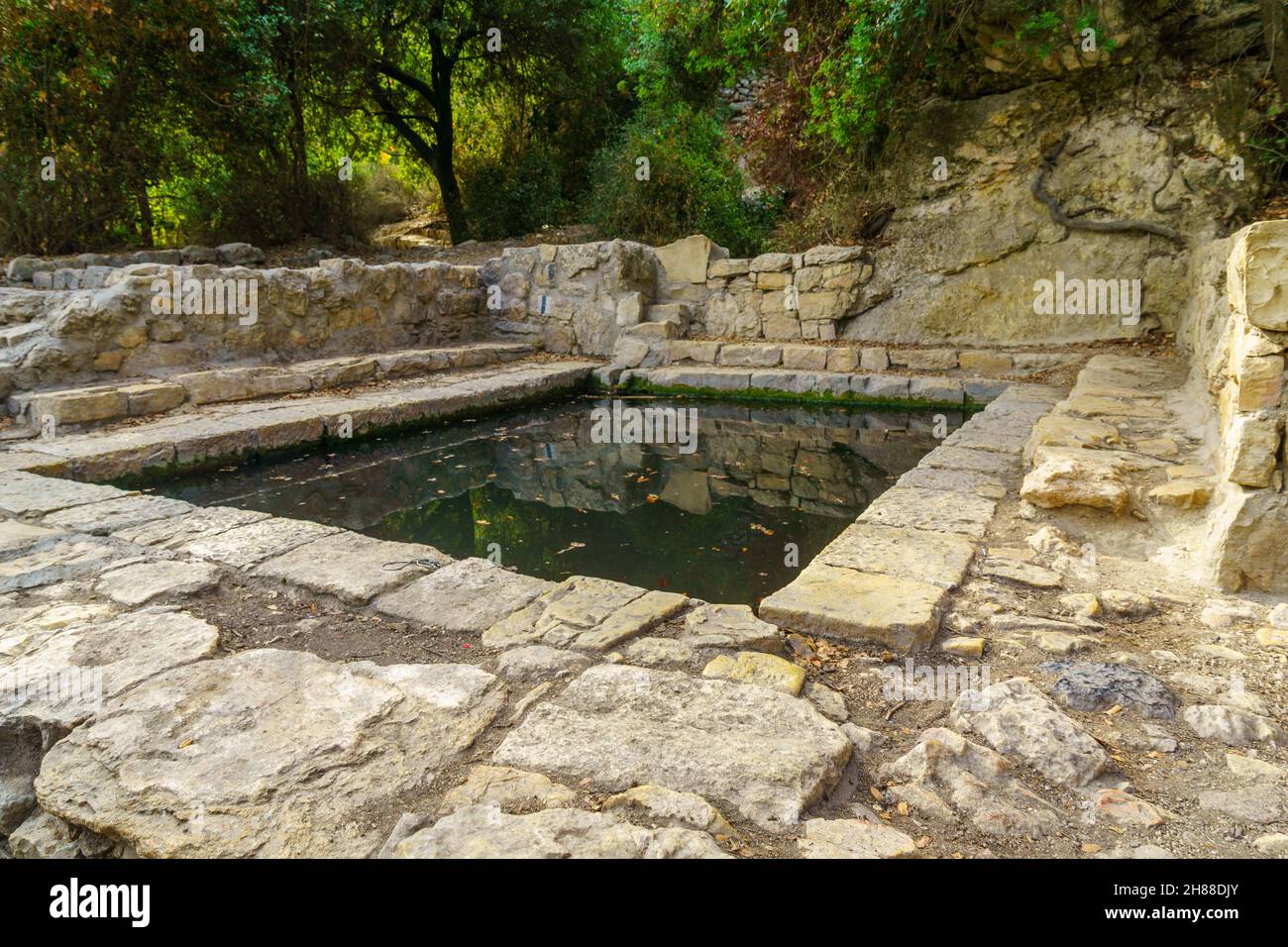 View of a water pool in Ein HaTayyasim (pilots spring), its in a planted forest on the outskirts of West Jerusalem, central Israel Stock Photo