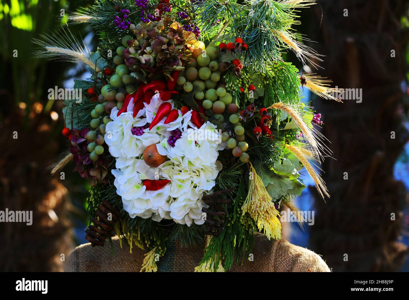 Meran, Kurstadt, Weinfest, Trachtenfest, Trachtenumzug, ein Gesicht aus Blüten und Trauben,. Meran, Südtirol, Dolomiten, Italien Stock Photo