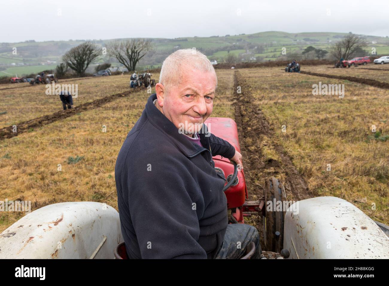 Cahermore, West Cork, Ireland. 28th November, 2021.Michael Coomey from Timoleague on his vintage 1960 David Brown 95,  taking part in the Cork West Ploughing Association match on the land of Geoffery Wycherley, Cahermore, West Cork, Ireland. -  Credit: David Creedon/Alamy Live News Stock Photo