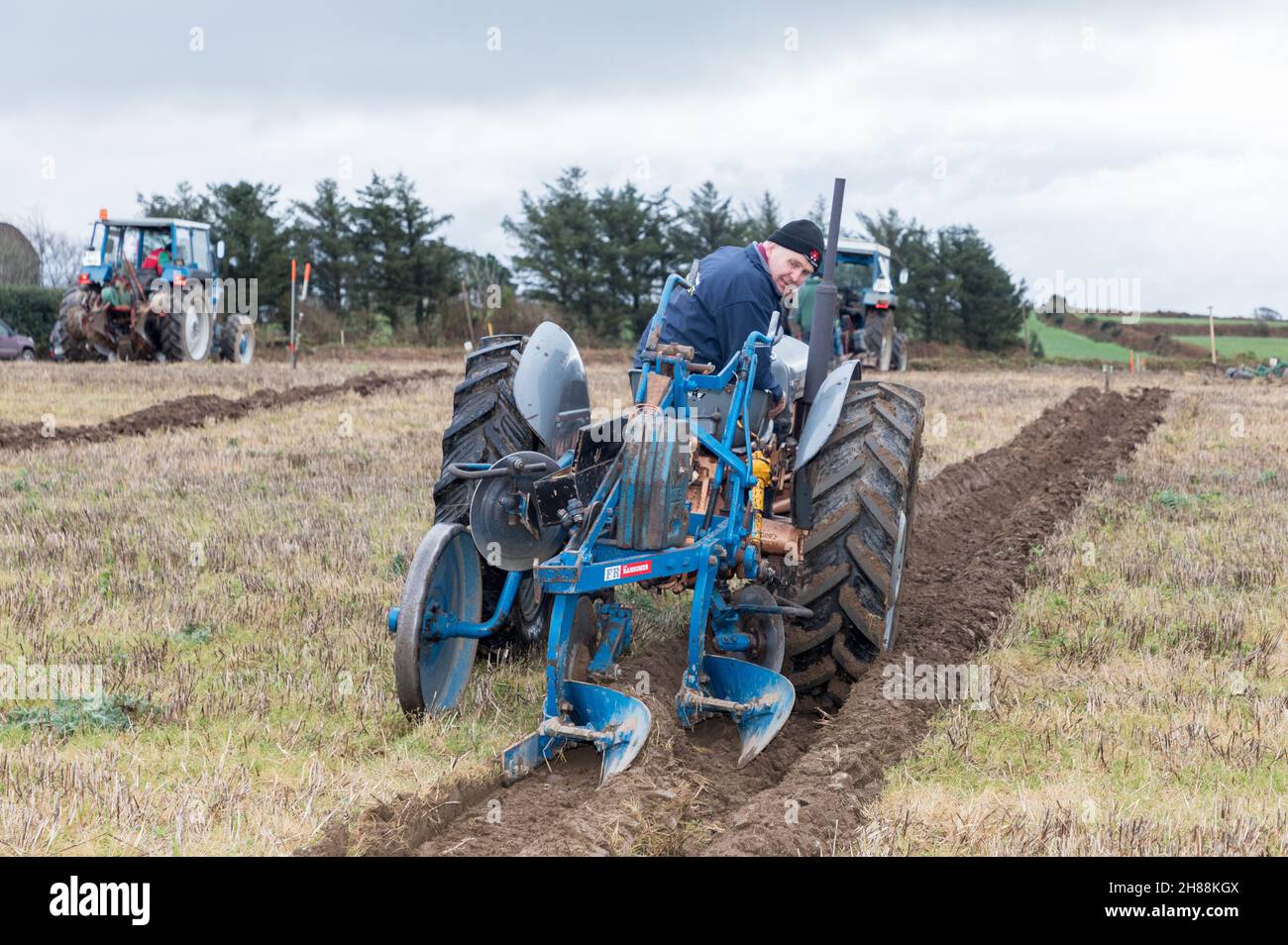 Cahermore, West Cork, Ireland. 28th November, 2021. Denis Cummings from Bandon with his 1956 Fergusion 35 taking part in the Cork West Ploughing Association match on the land of Geoffery Wycherley, Cahermore, West Cork, Ireland. - Credit: David Creedon/Alamy Live News Stock Photo