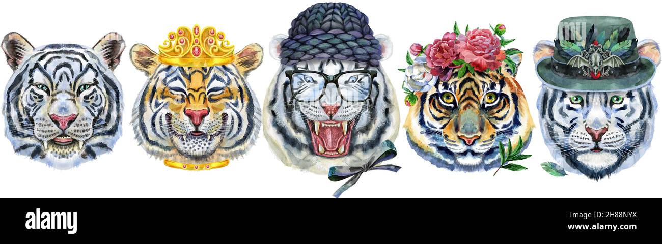 Watercolor illustration of tigers with golden crown, winter hat, peony wreath and green halloween hat Stock Photo