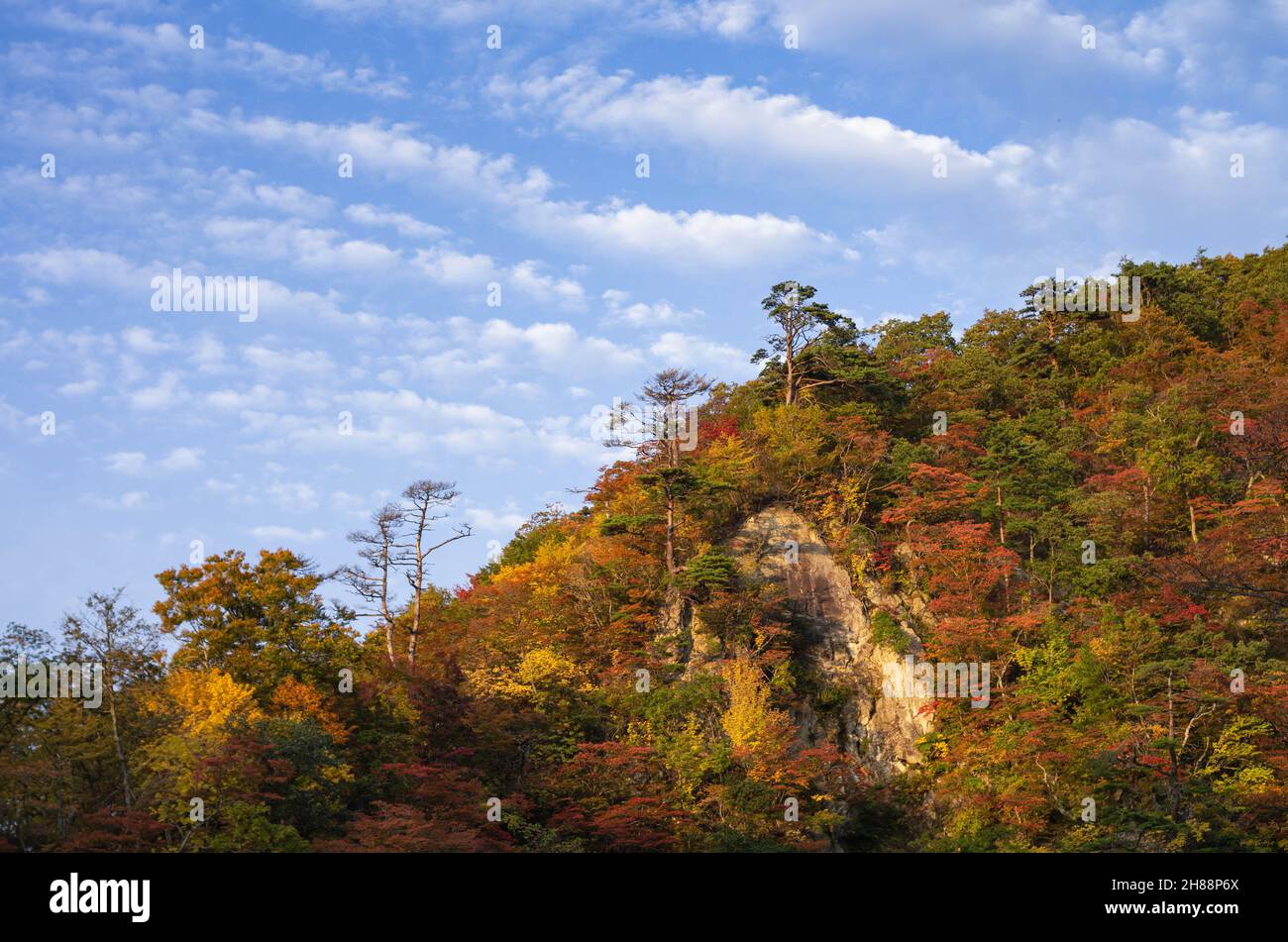 Naruko Gorge Hi Res Stock Photography And Images Alamy