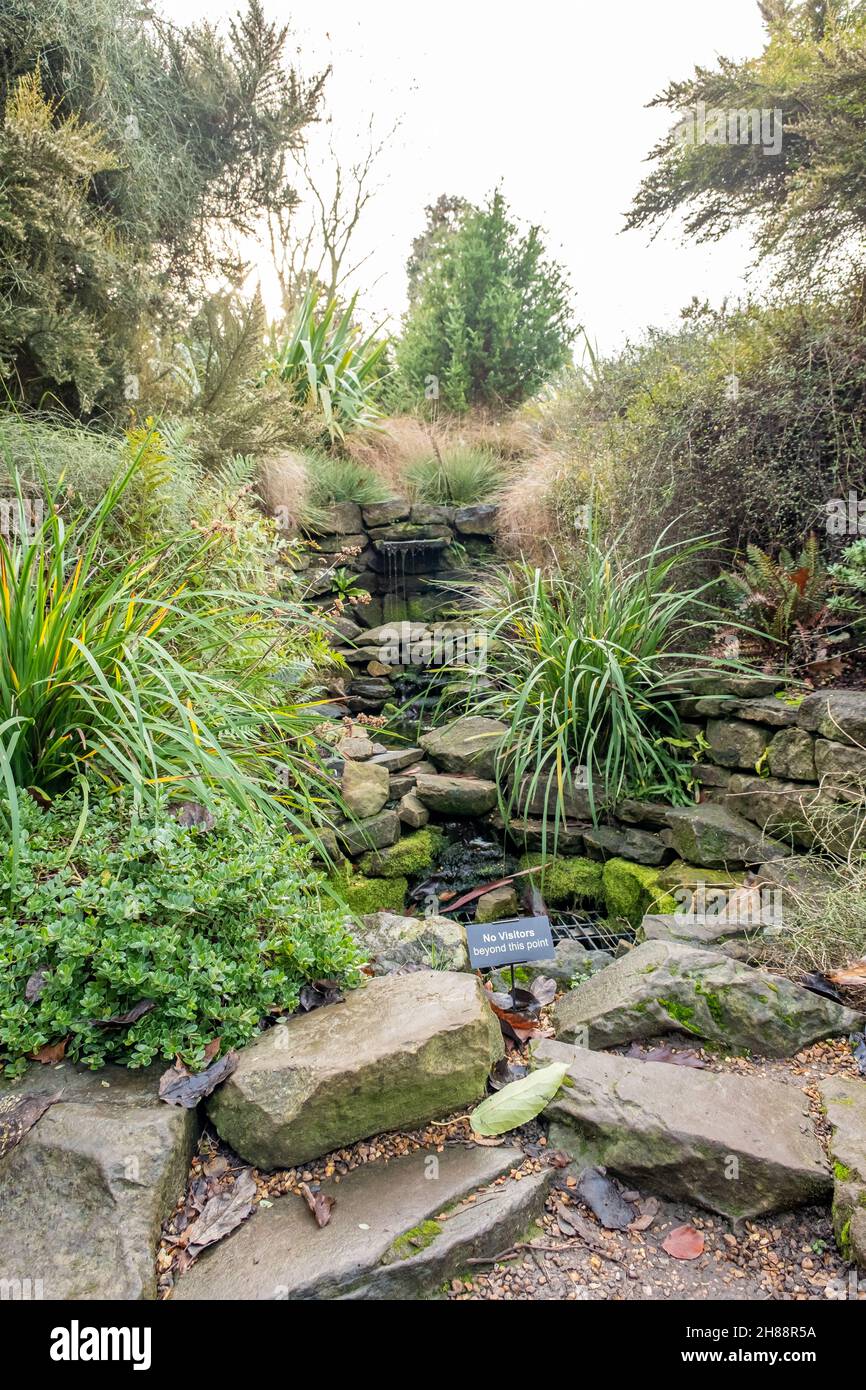 Plants and rock garden feature in the Cambridge Botanical Gardens Stock Photo
