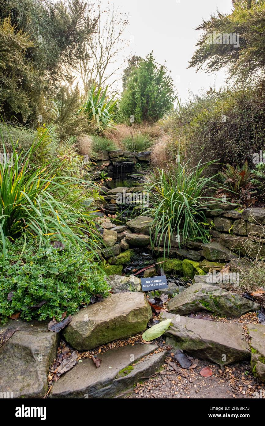Plants and rock garden feature in the Cambridge Botanical Gardens Stock Photo