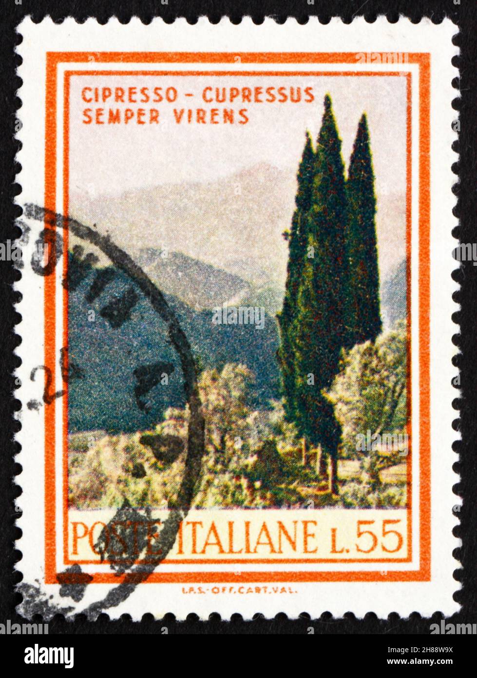 ITALY - CIRCA 1966: a stamp printed in the Italy shows Cypresses, Cupressus Sempervirens, circa 1966 Stock Photo