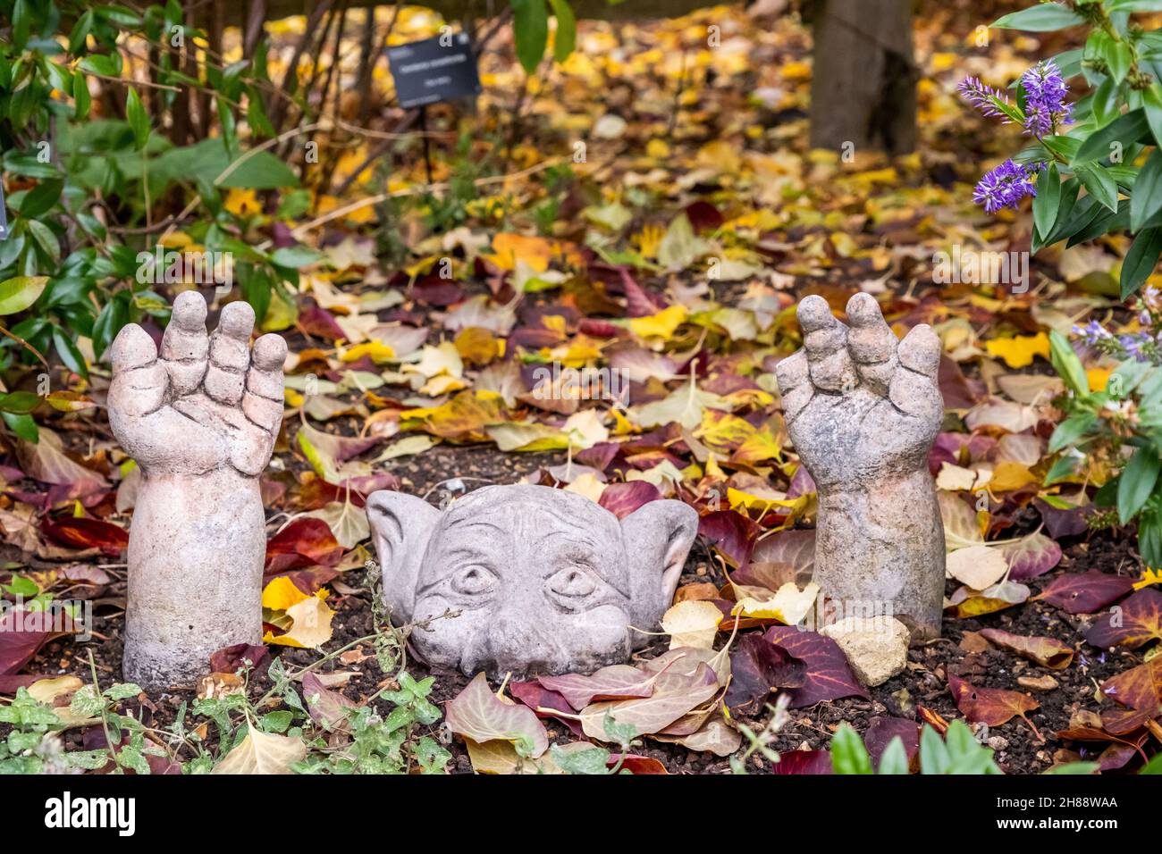 Novelty garden ornament, statue or statuette of a monster in a plant