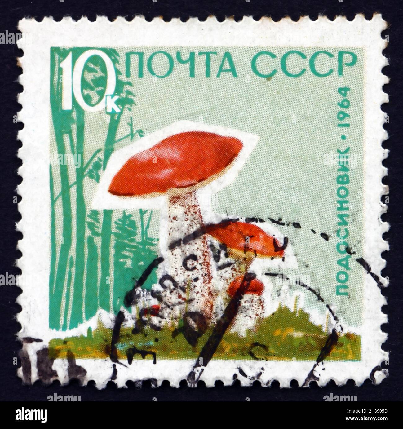RUSSIA - CIRCA 1964: a stamp printed in the Russia shows Trachypus Versipellis, Mushroom, circa 1964 Stock Photo