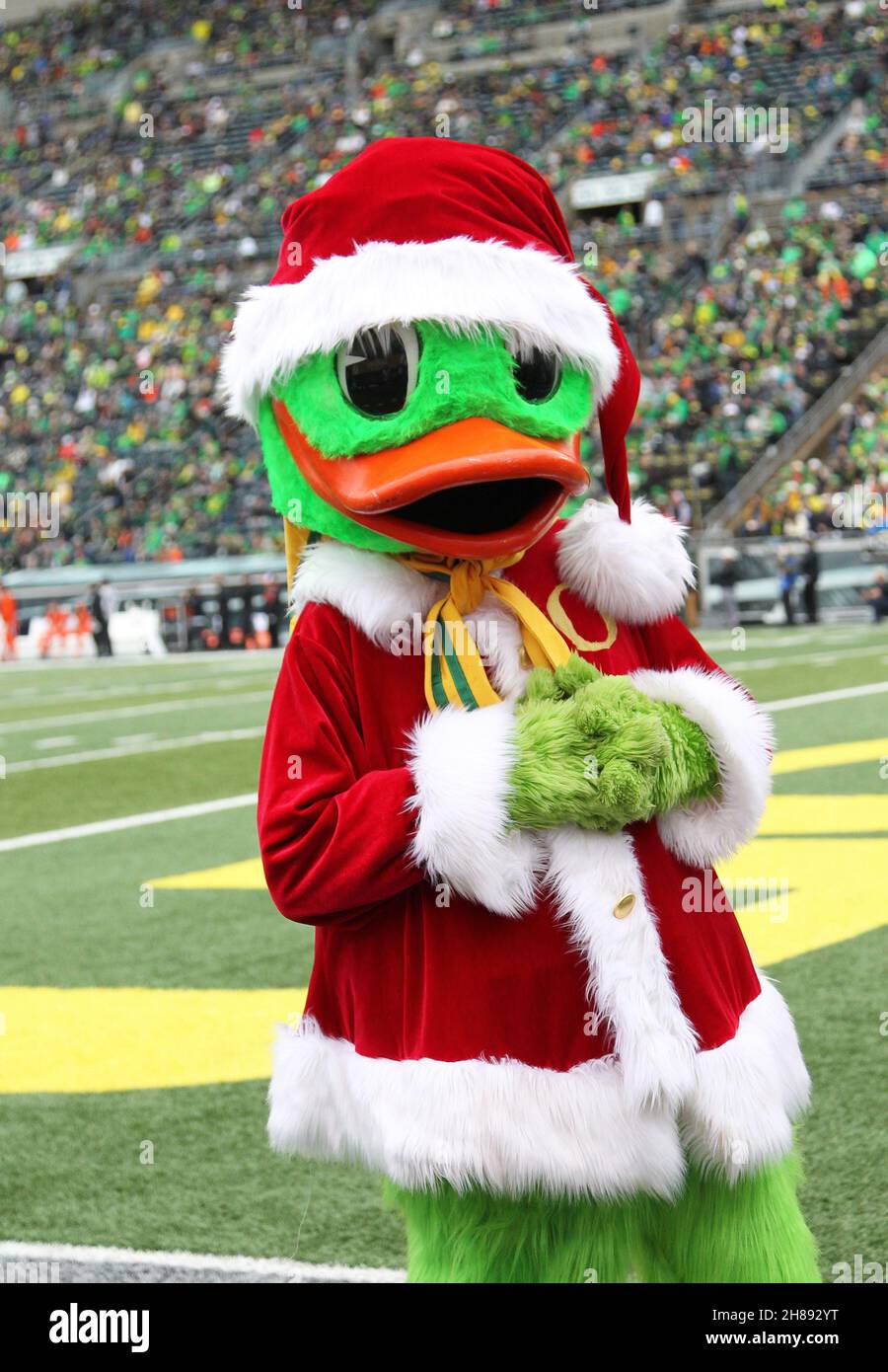 November 27, 2021: The Oregon Duck is ready to play the Grinch and steal  Christmas from the Oregon State Beavers for the two colleges rivalry game  at Autzen Stadium, Eugene, OR. Larry
