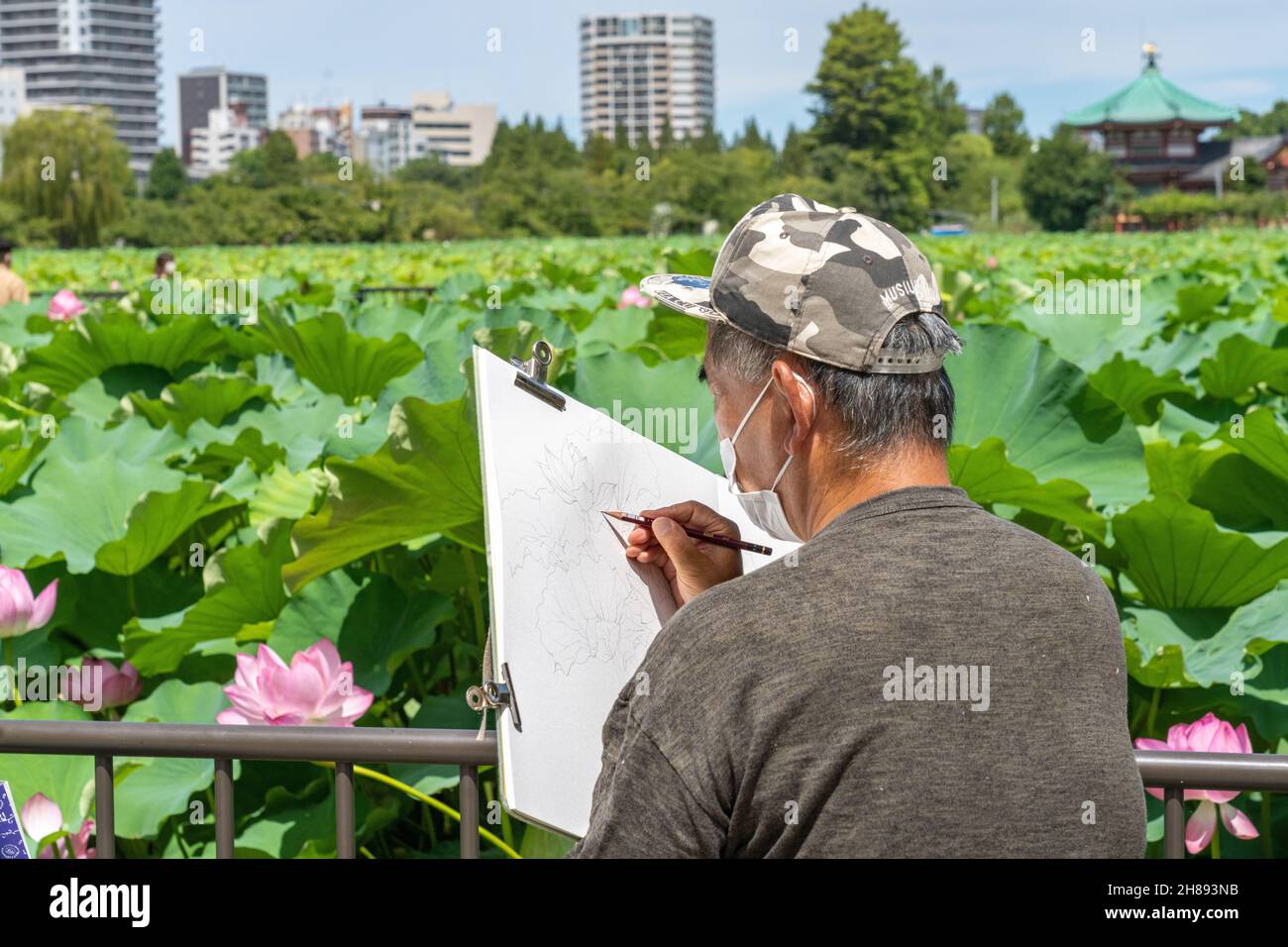 A Japanese man creates a pencil sketch of blooming lotus plants on Shinobazu Pond and the Benten Temple in Ueno Park, Tokyo, Japan. Stock Photo