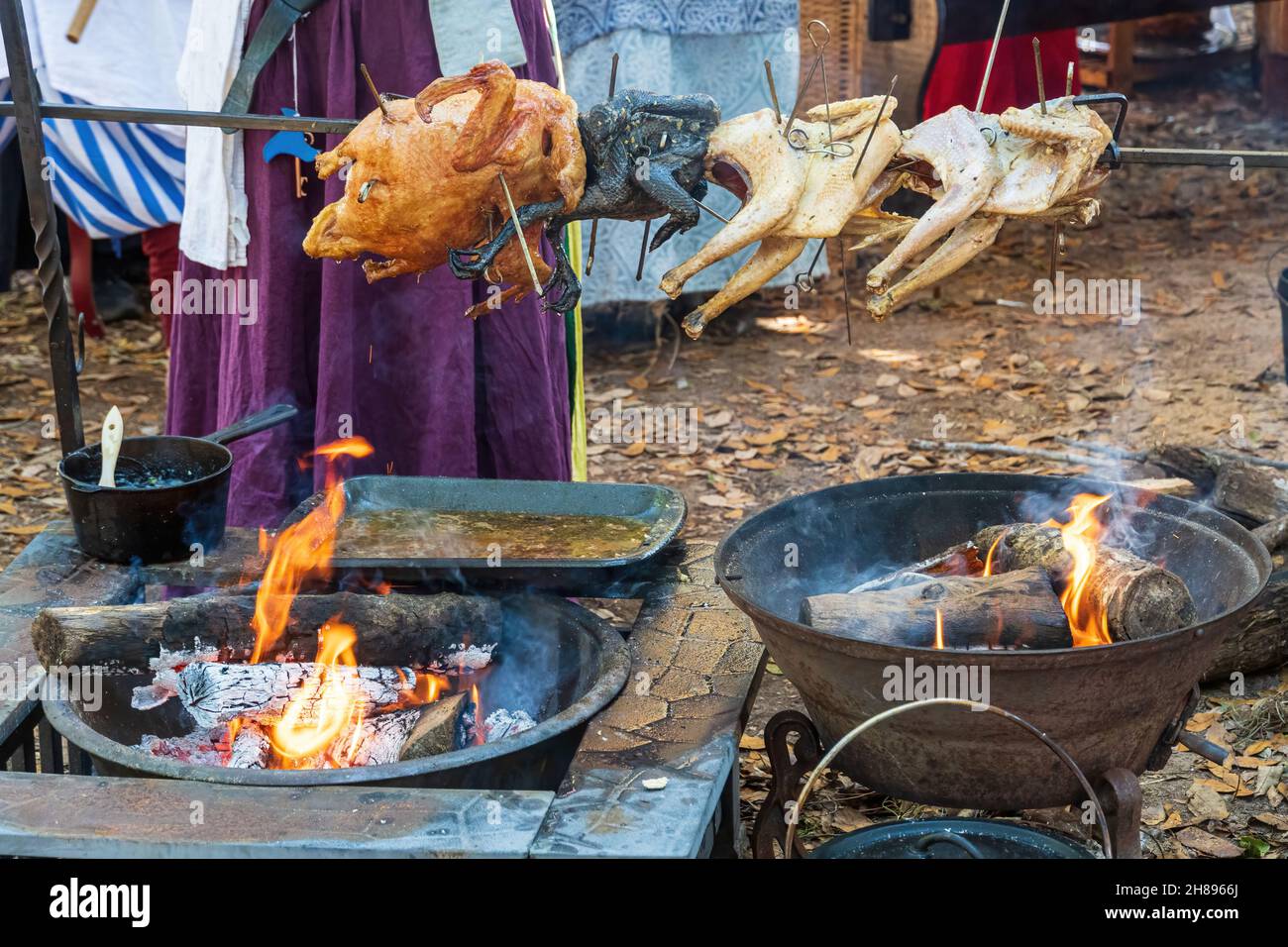 https://c8.alamy.com/comp/2H8966J/rotisserie-cooked-birds-on-a-spit-over-open-flame-fire-pits-florida-usa-2H8966J.jpg