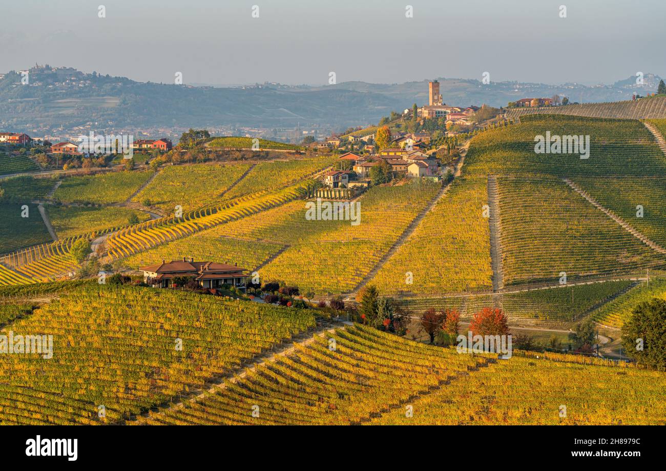 Beautiful Hills And Vineyards During Fall Season Surrounding Barbaresco 