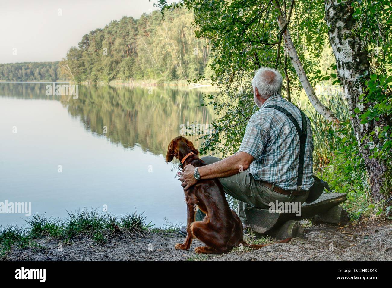 Early in the morning an old man sits with his young Irish Setter Pointer on the small bench by the lake and enjoys the silence of the beginning day. Stock Photo