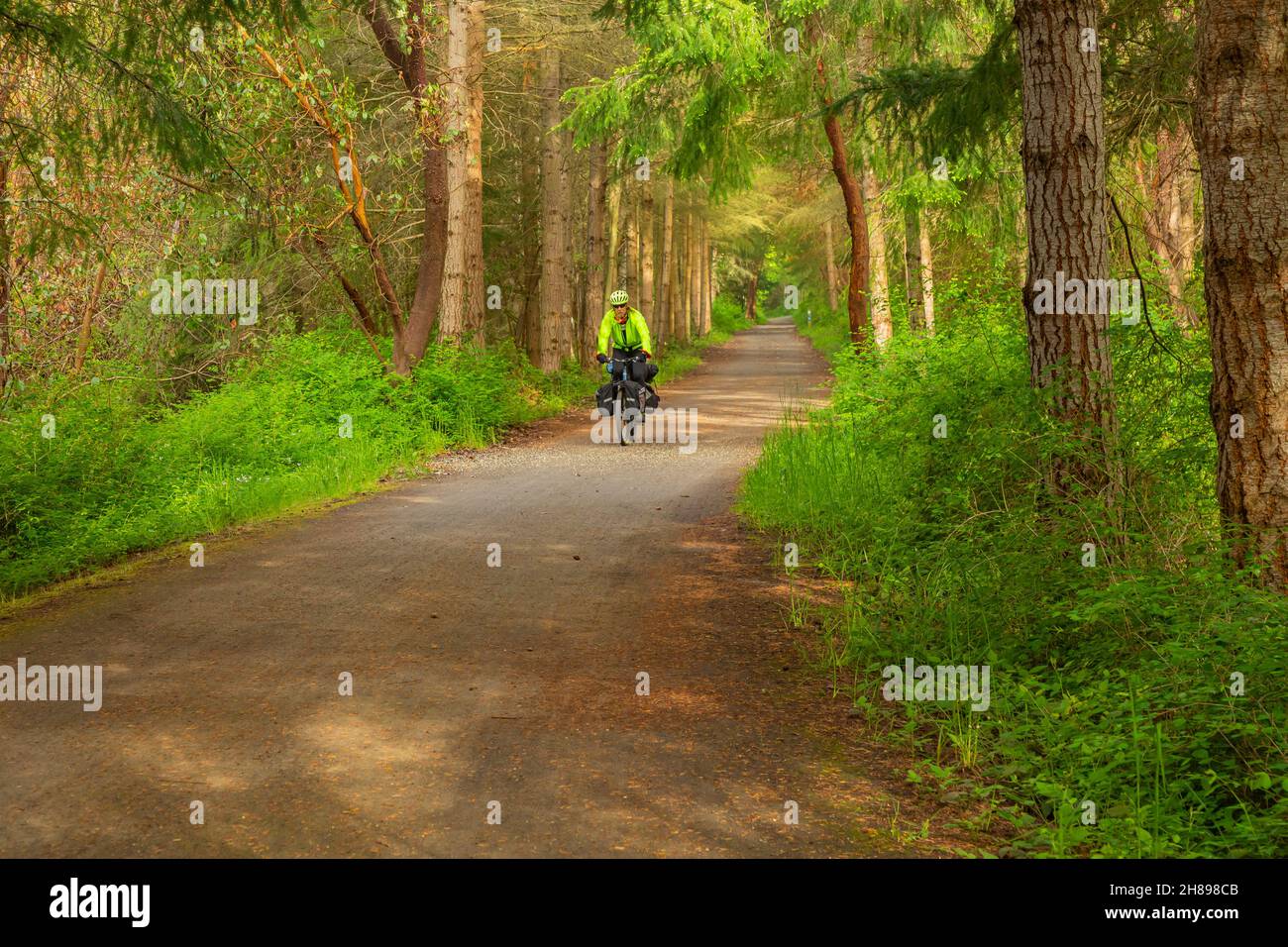 WA19805-00...WASHINGTON - Touring cyclist riding the Larry Scott Memorial Trail, also the Olympic Discovery Trail and Pacific Northwest National Sceni Stock Photo