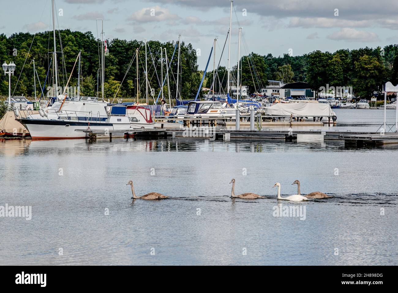 Boats, yachts and swans - this is the marina of the city Fürstenberg on the Havel. Stock Photo