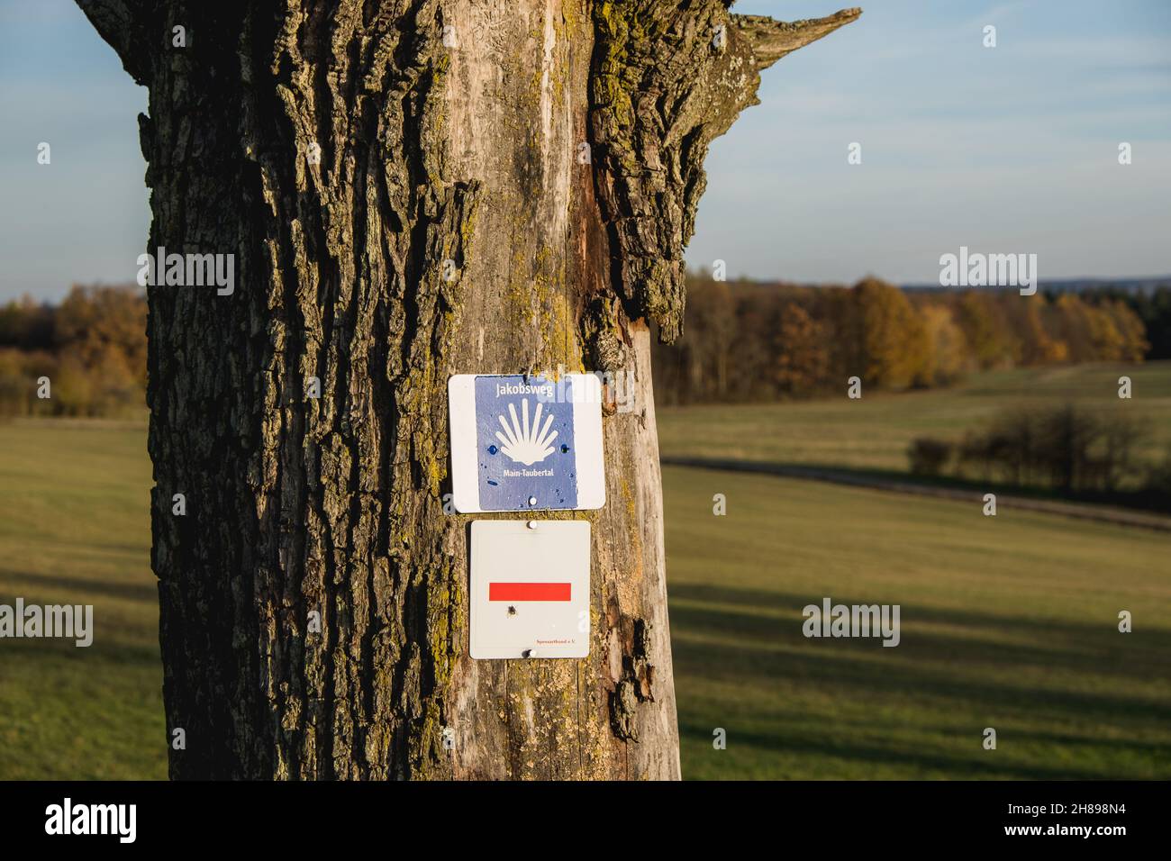 Sign for the hiking trails from the  way of St James in Germany in the near from Tauberbischofsheim. Stock Photo