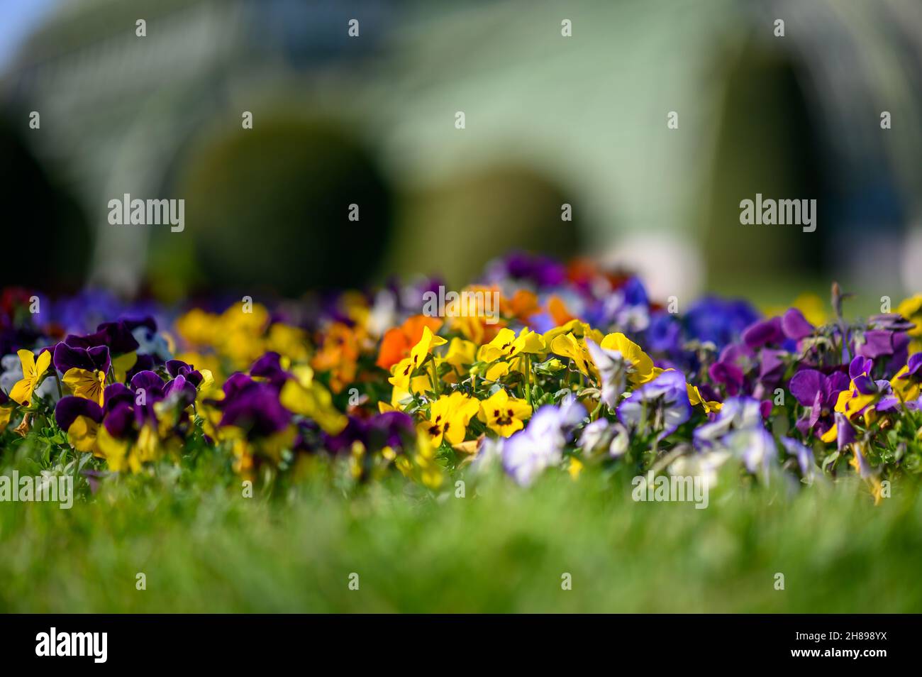 Beautiful flower bed hi-res stock photography and images - Alamy