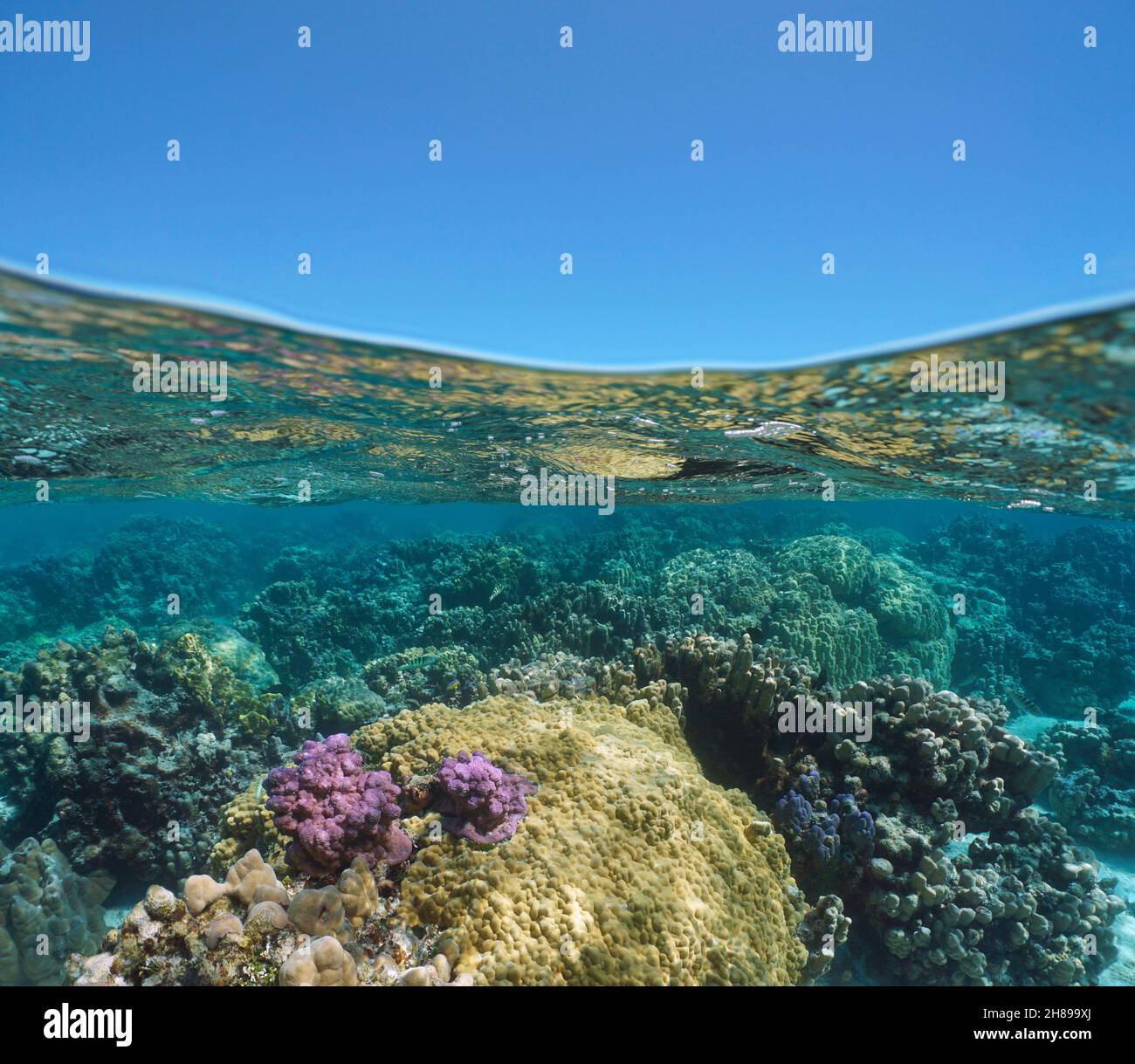 Coral reef underwater sea and blue sky, seascape over and under water surface, south Pacific ocean, French Polynesia Stock Photo