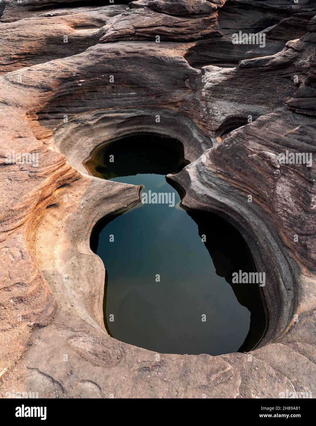 Cavity sam hi-res stock photography and images - Alamy