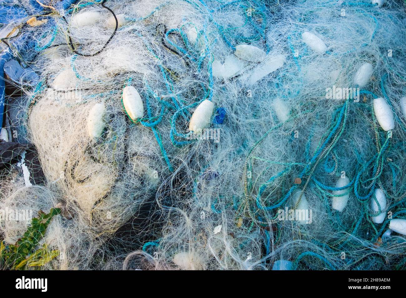 200+ Tangled Fishing Line Stock Photos, Pictures & Royalty-Free Images -  iStock