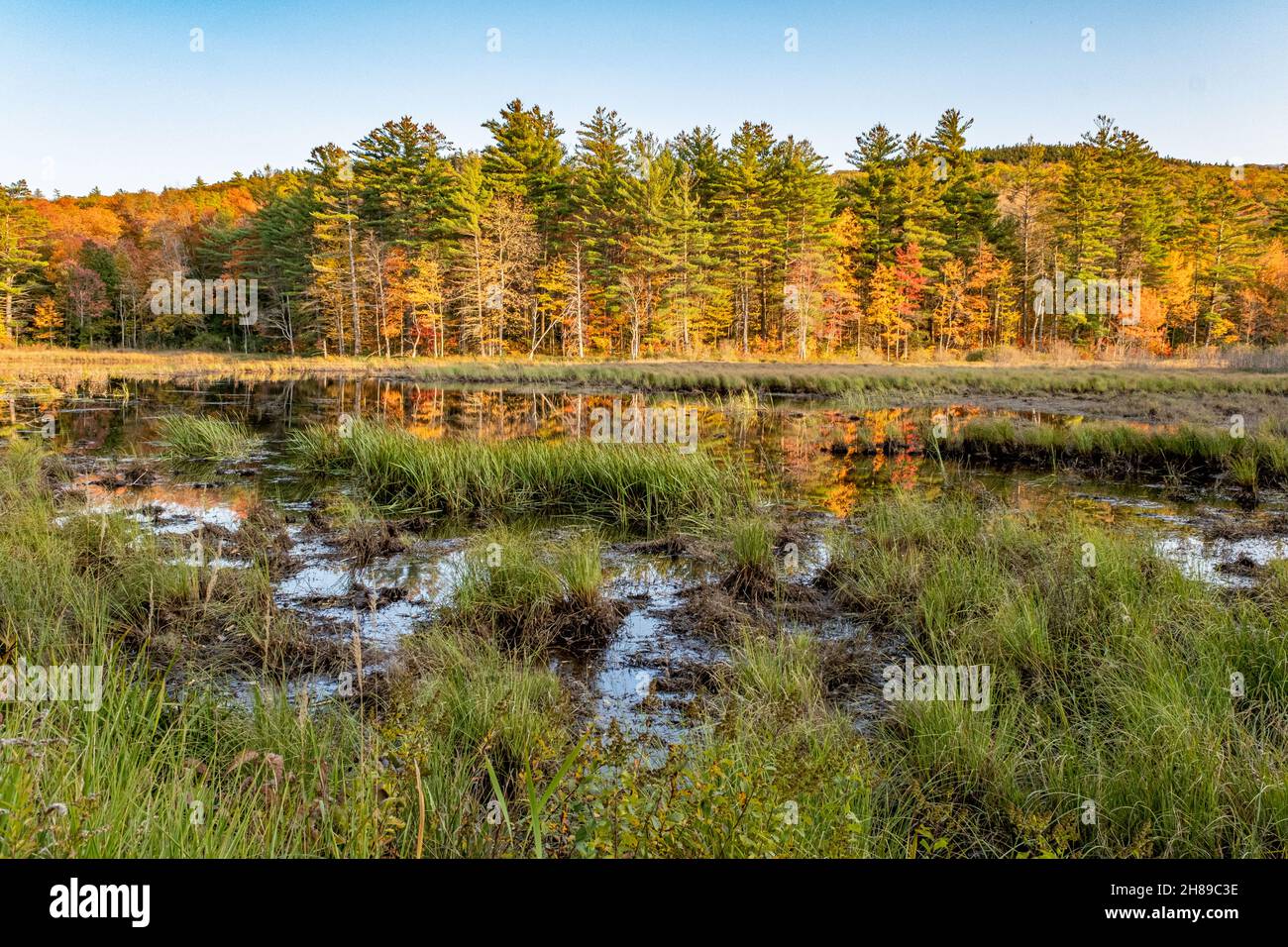 A small pond in Nelson, New Hampshire Stock Photo